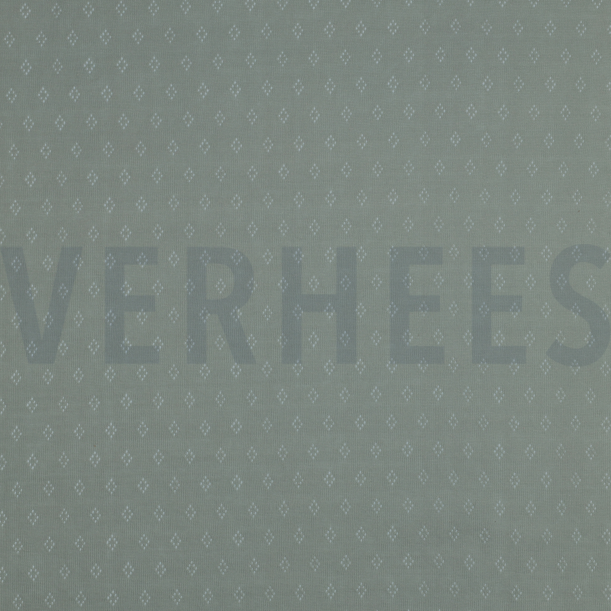 POINTOILLE MINT (high resolution)