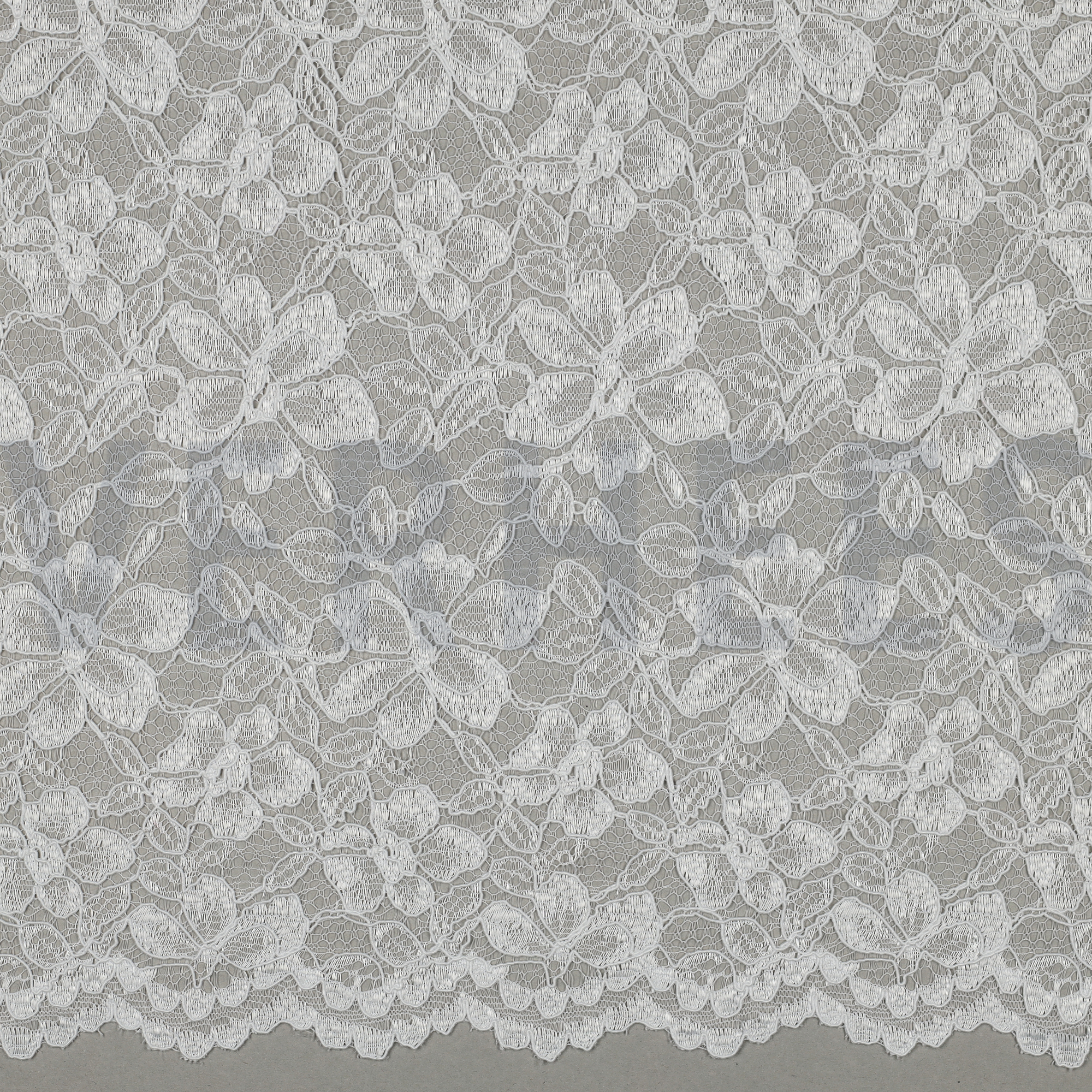 LACE TWO-SIDE SCALLOP WHITE (high resolution)