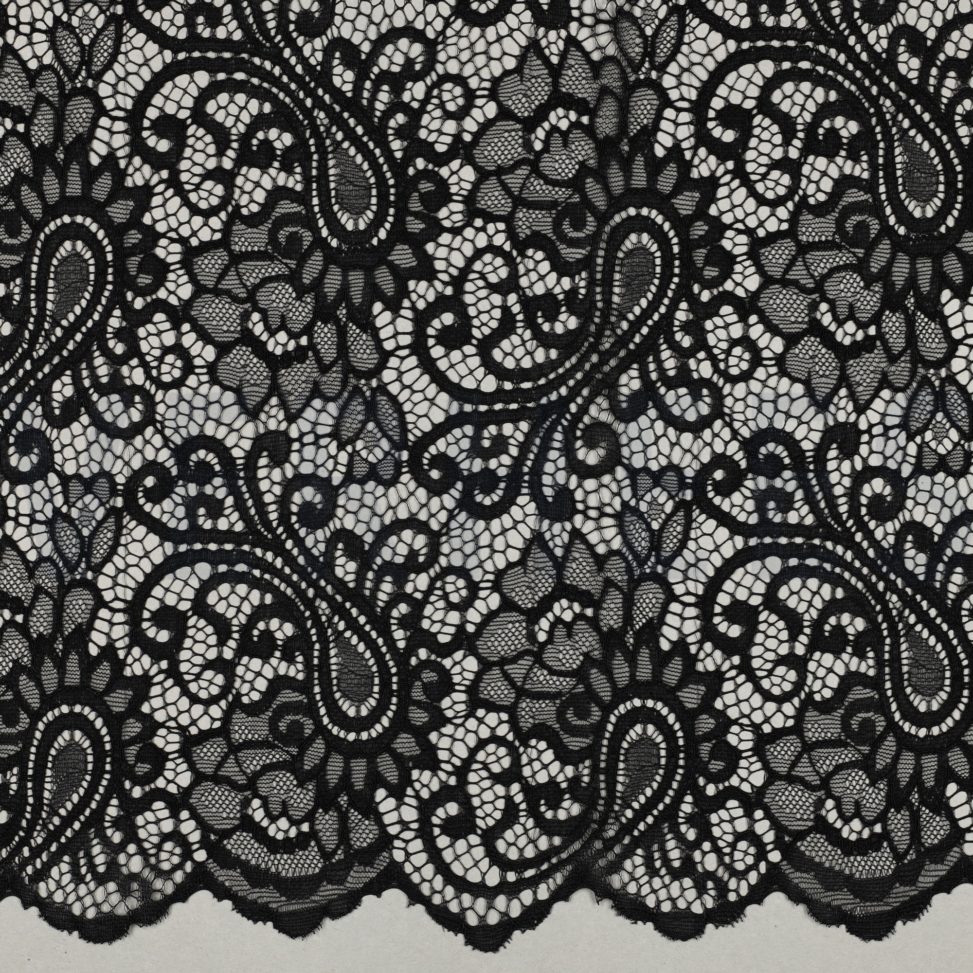 LACE TWO-SIDE SCALLOP BLACK (high resolution)