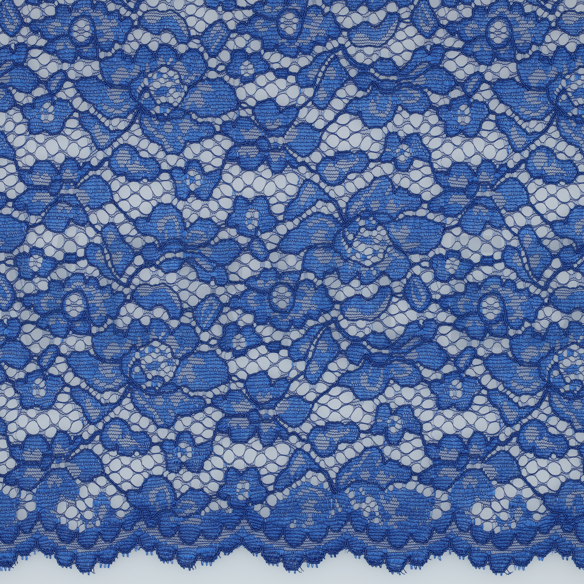 DENTELLE BORDURE FESTONNÉE BLEU COBALT (high resolution)