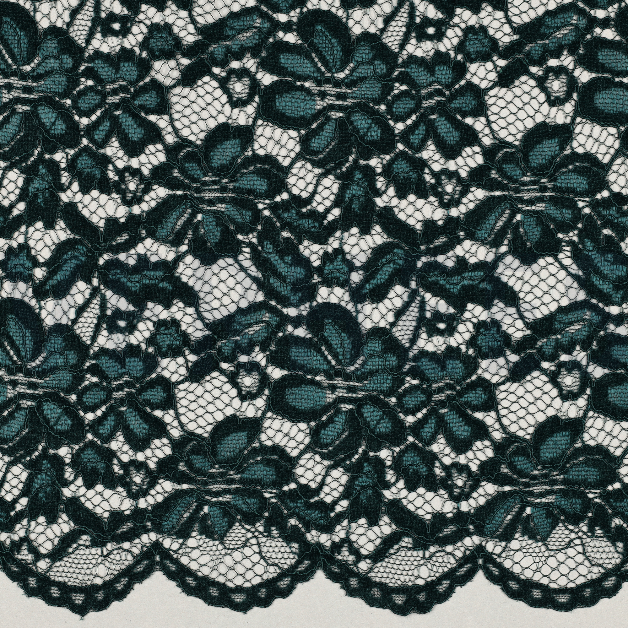 SPITZE ZWEISEITIGE BOGENKANTE CHENILLE SMARAGDGRÜN (high resolution)