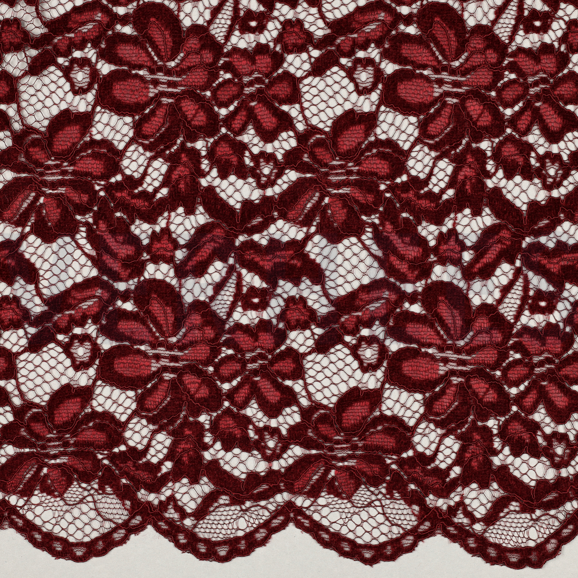 SPITZE ZWEISEITIGE BOGENKANTE CHENILLE BORDEAUXROT (high resolution)