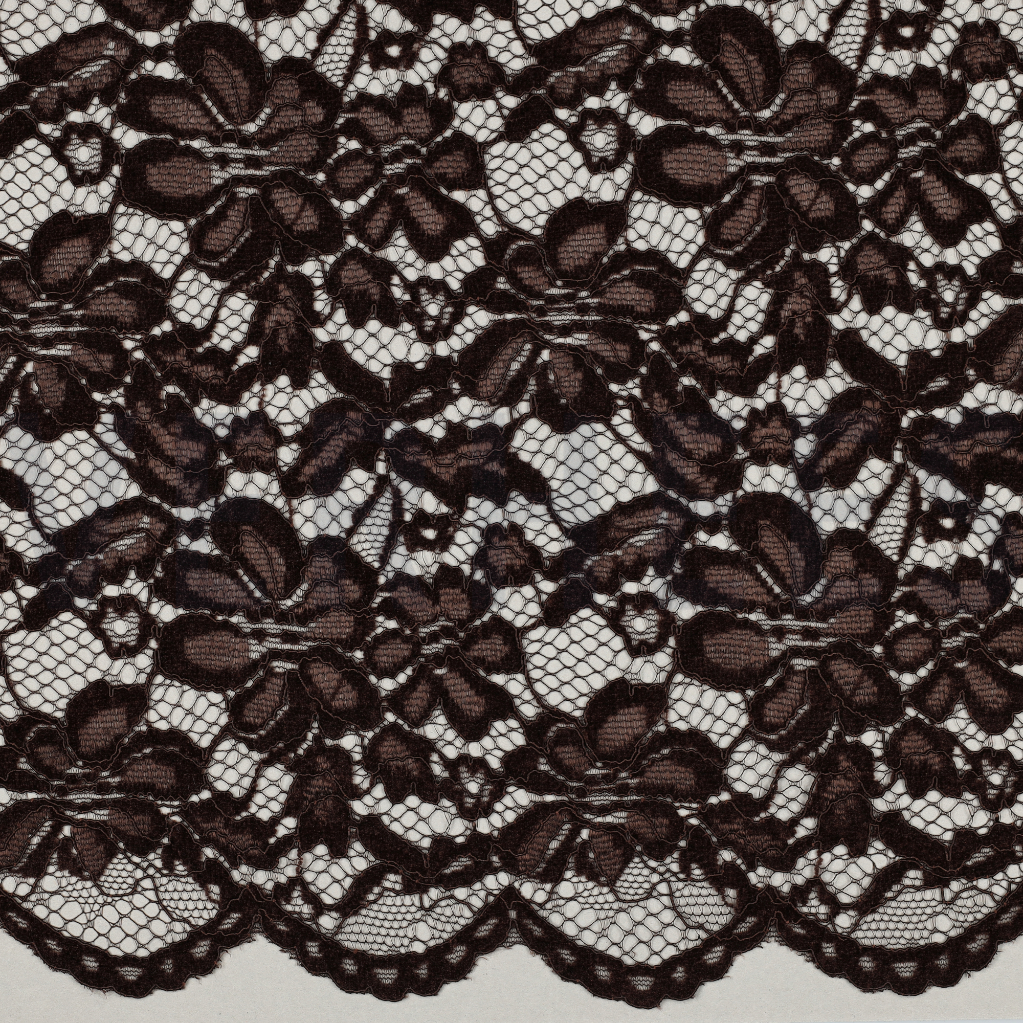 SPITZE ZWEISEITIGE BOGENKANTE CHENILLE BRAUN (high resolution)