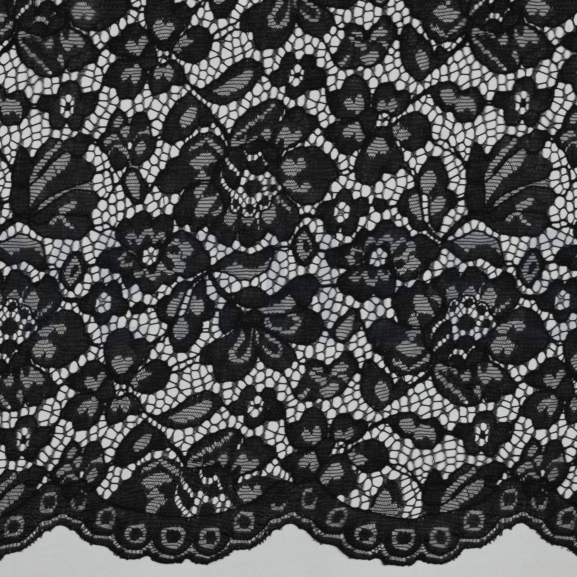 LACE TWO-SIDE SCALLOP JET BLACK (high resolution)
