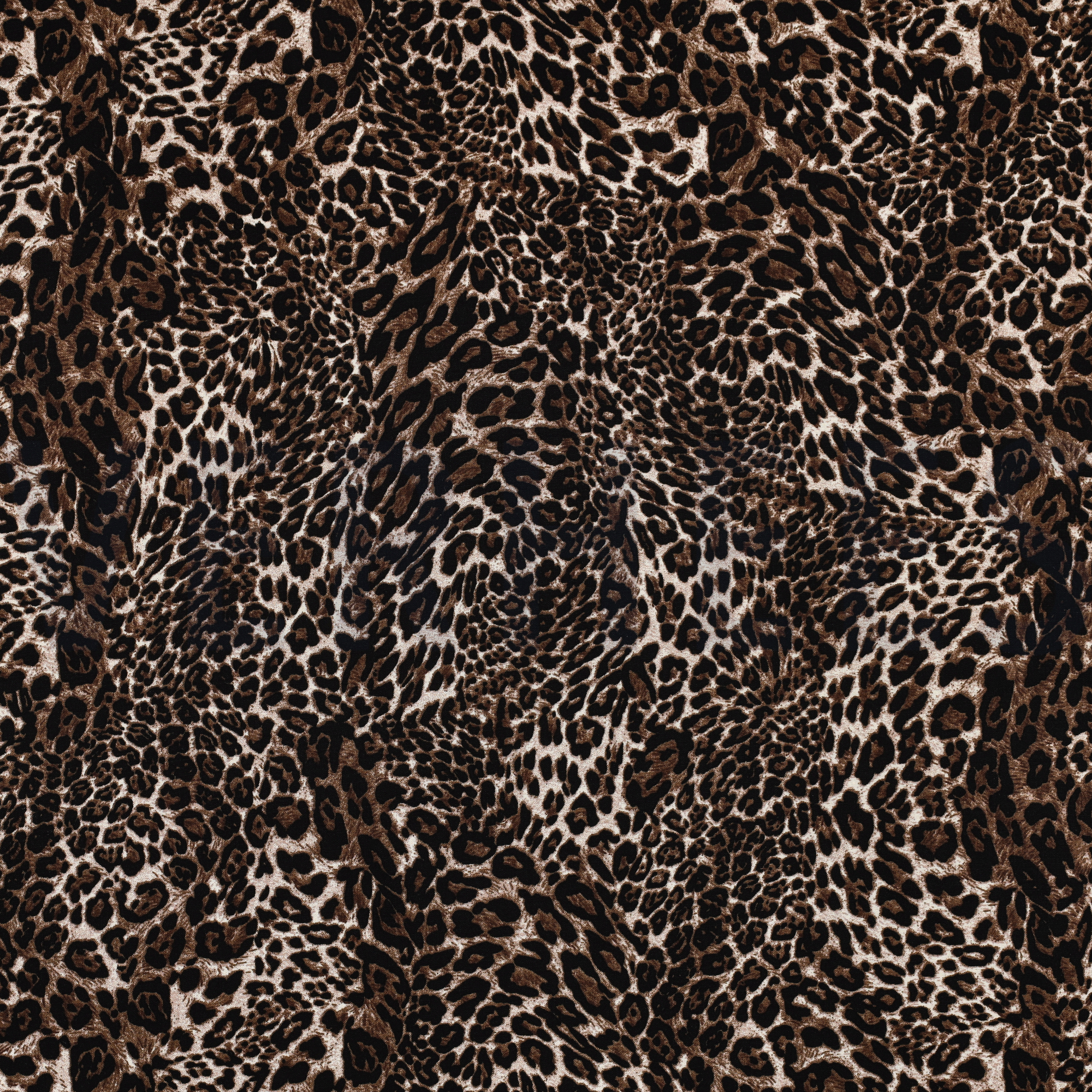 RADIANCE DIGITAL TIERHAUT BRAUN (high resolution)