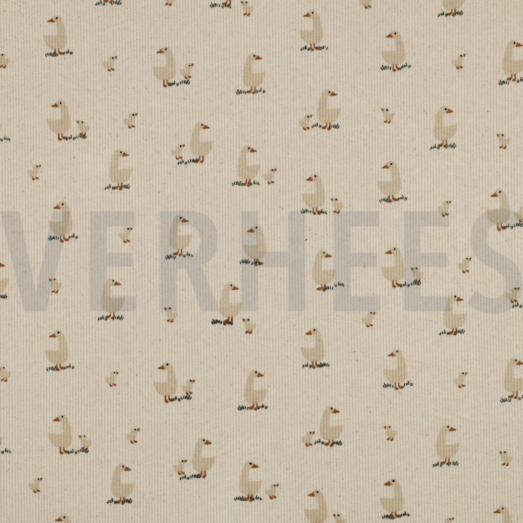 RIB JERSEY GOTS NATUREL EENDEN NATUREL (high resolution)