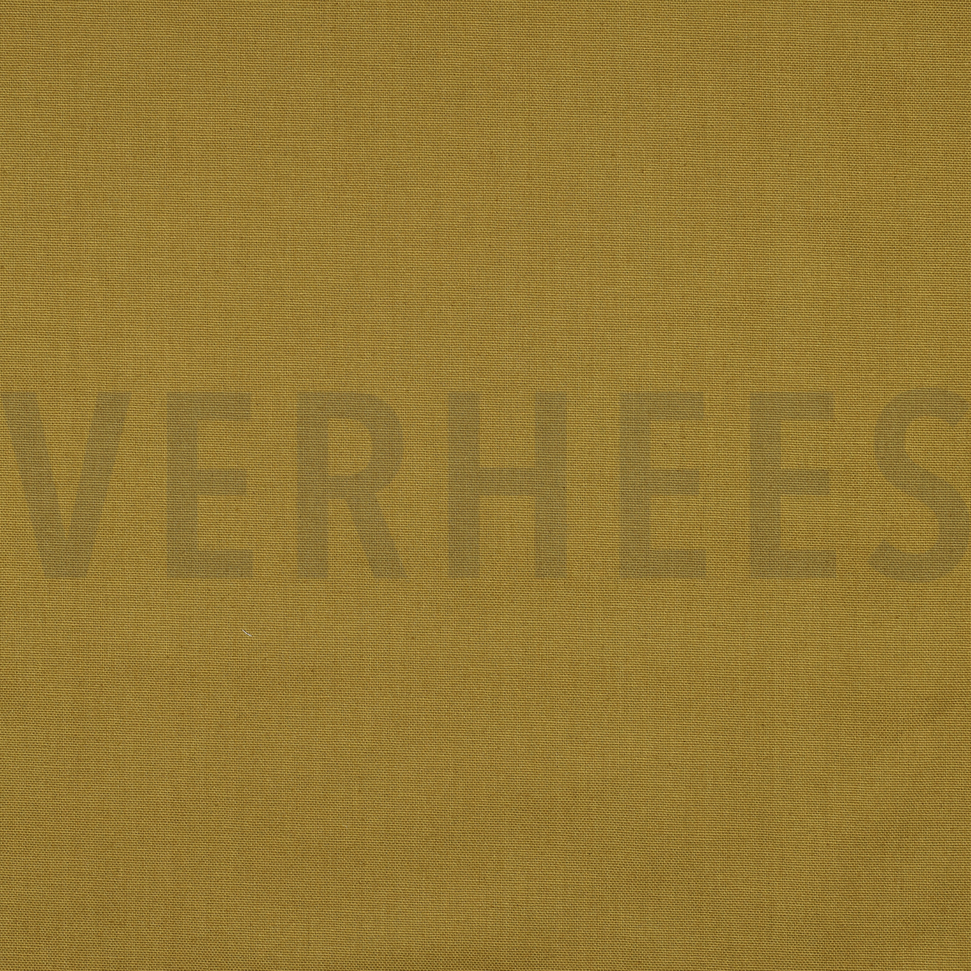 CANVAS CURRY (high resolution)