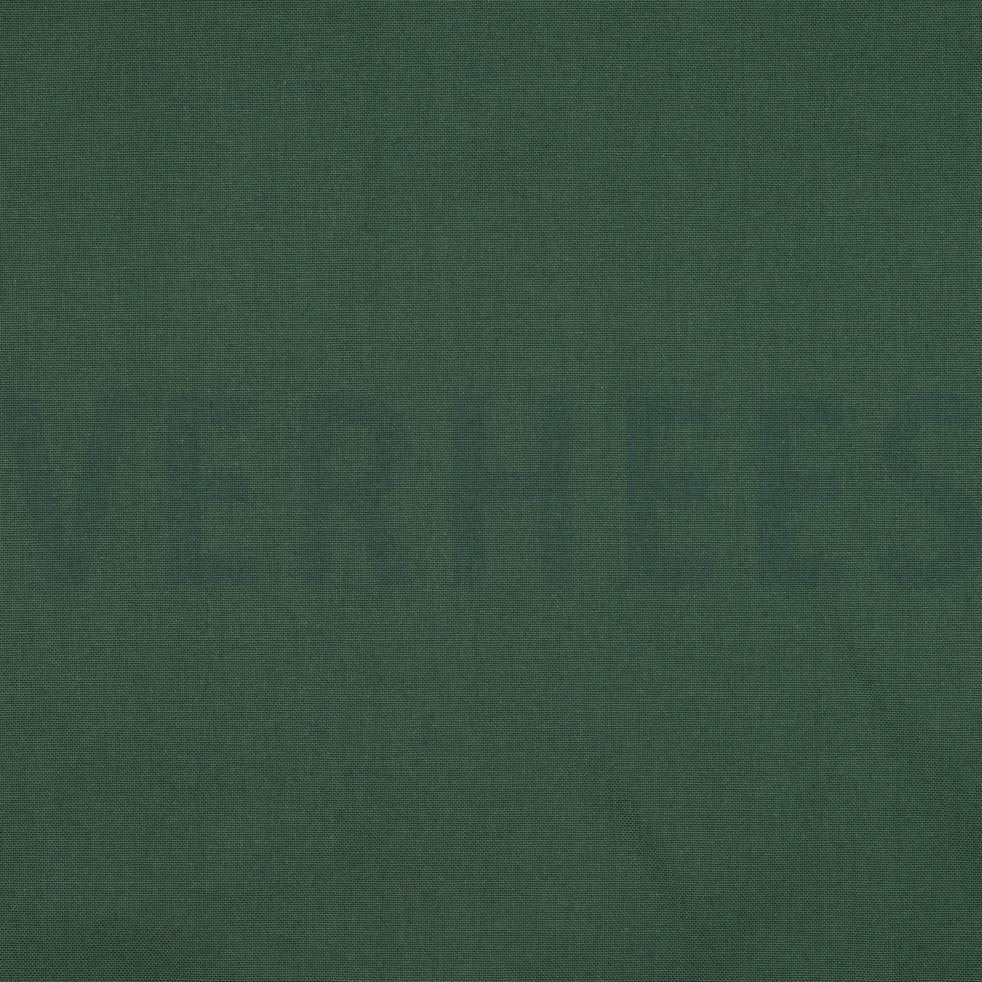 CANVAS DUNKELGRÜN (high resolution)