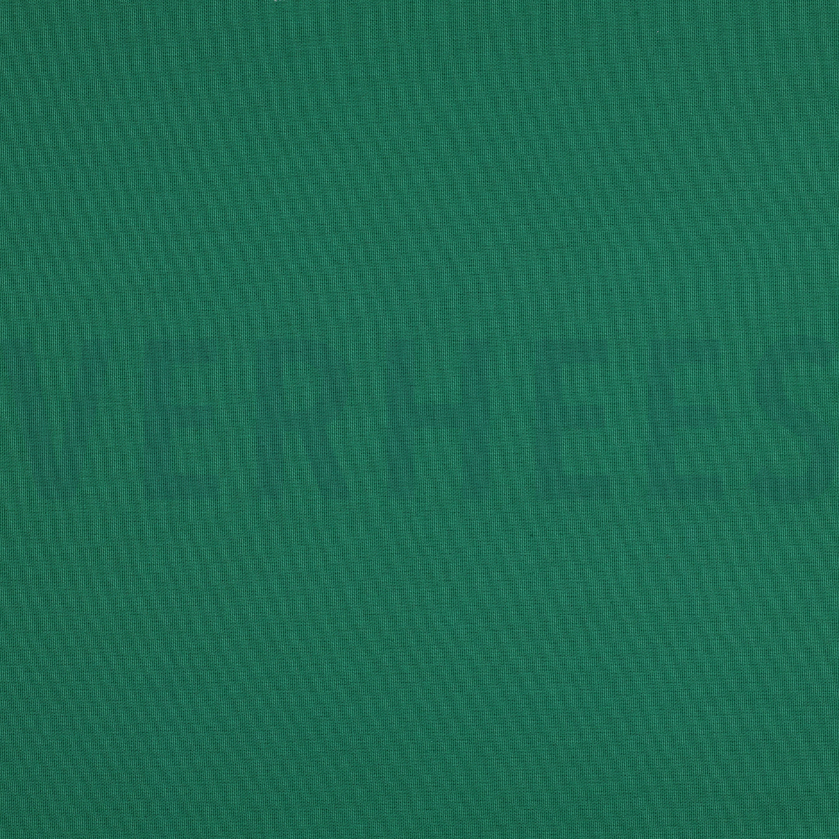 CANVAS GROEN (high resolution)