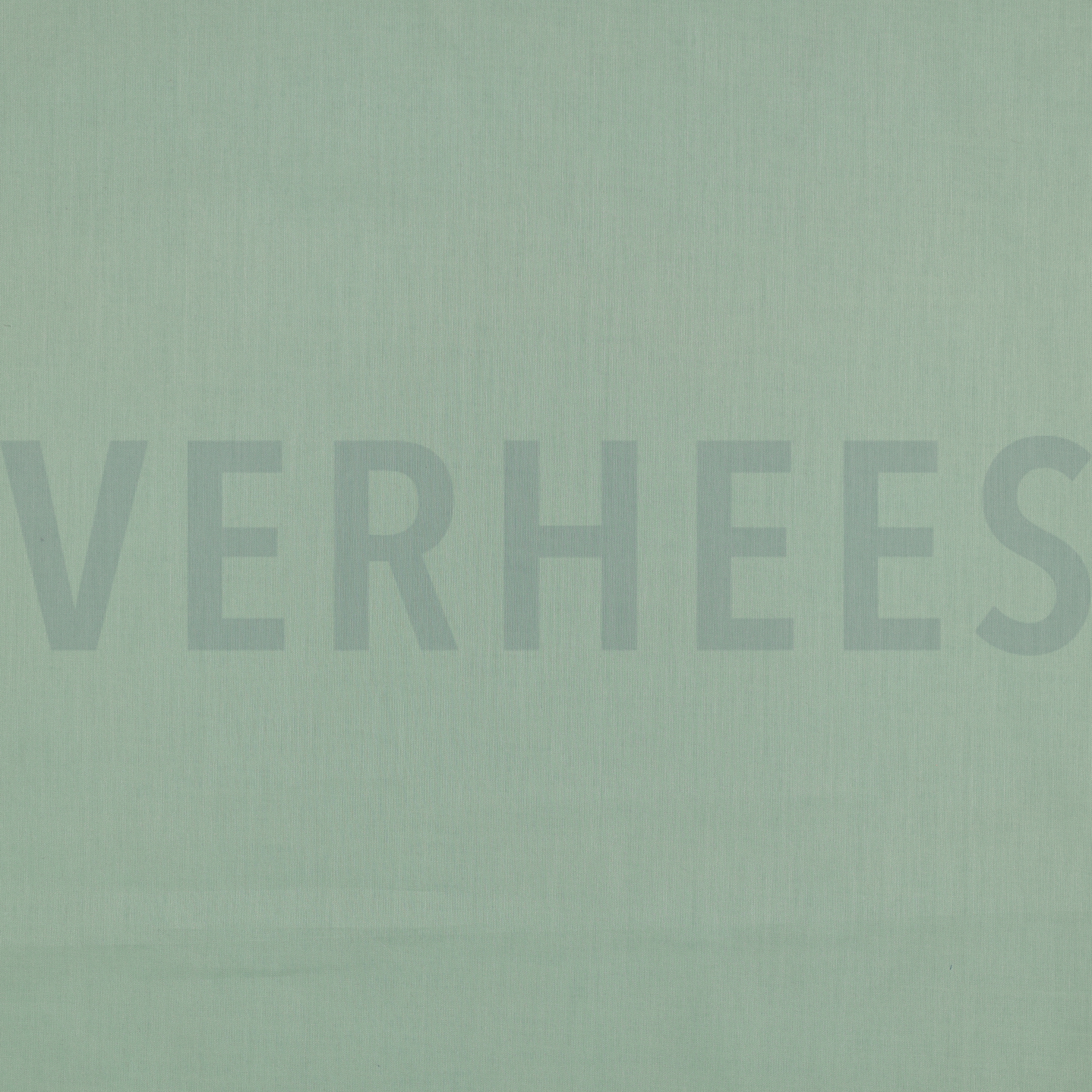 KATOEN VOILE GOTS MINT (high resolution)