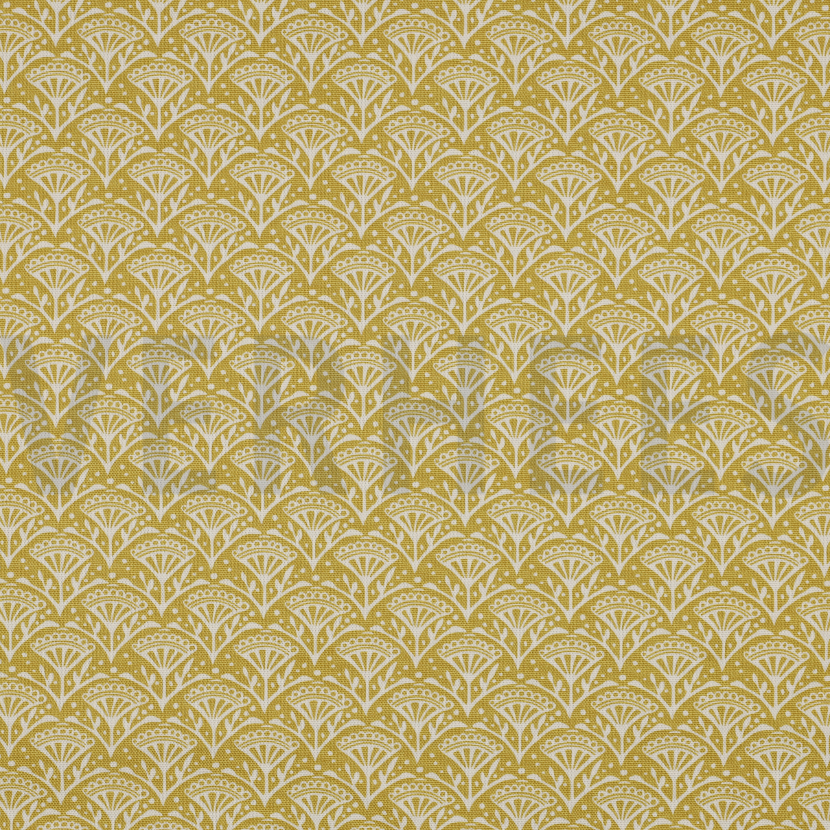 CANVAS BLOEMEN LIMOEN (high resolution)