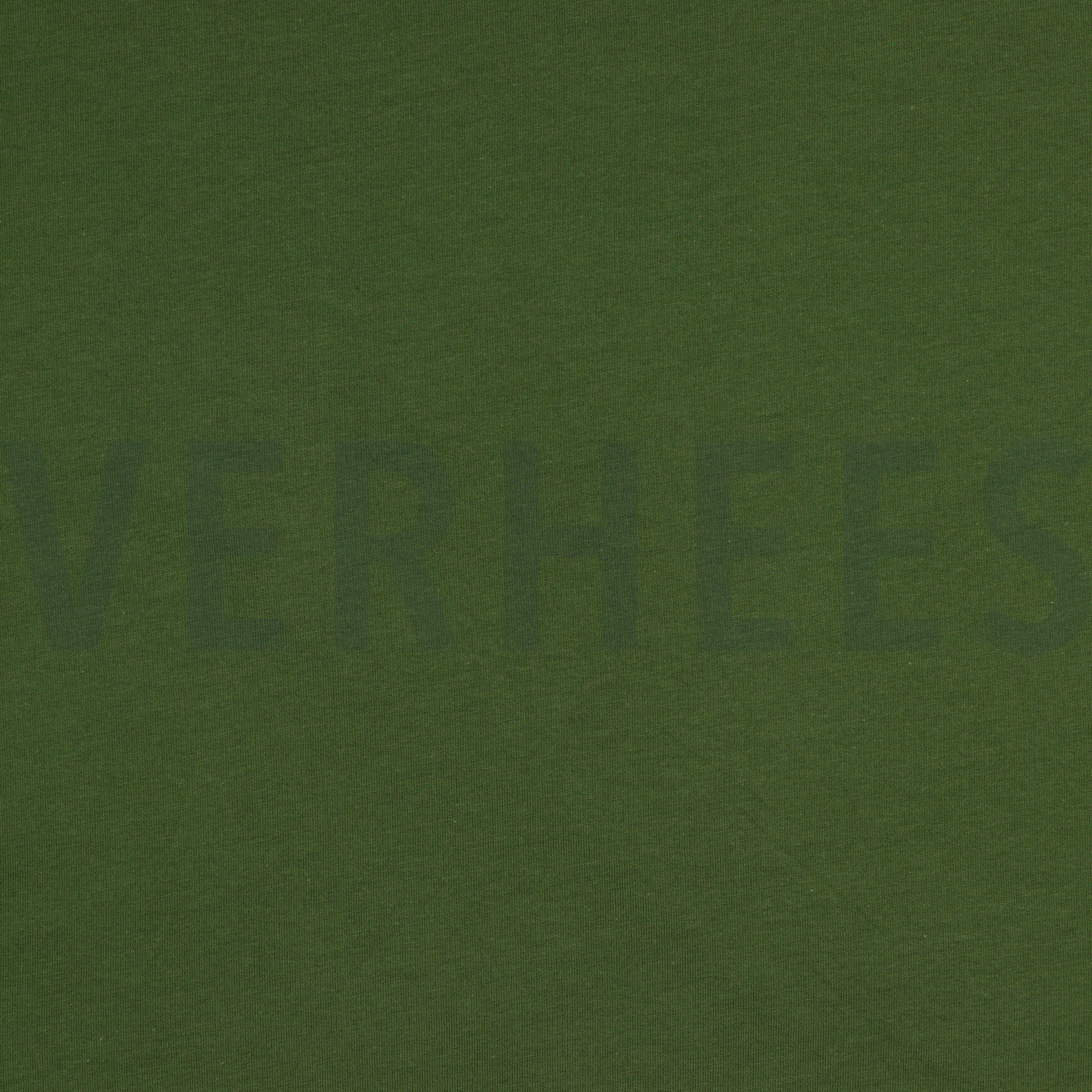 SWEAT WALDGRÜN (high resolution)