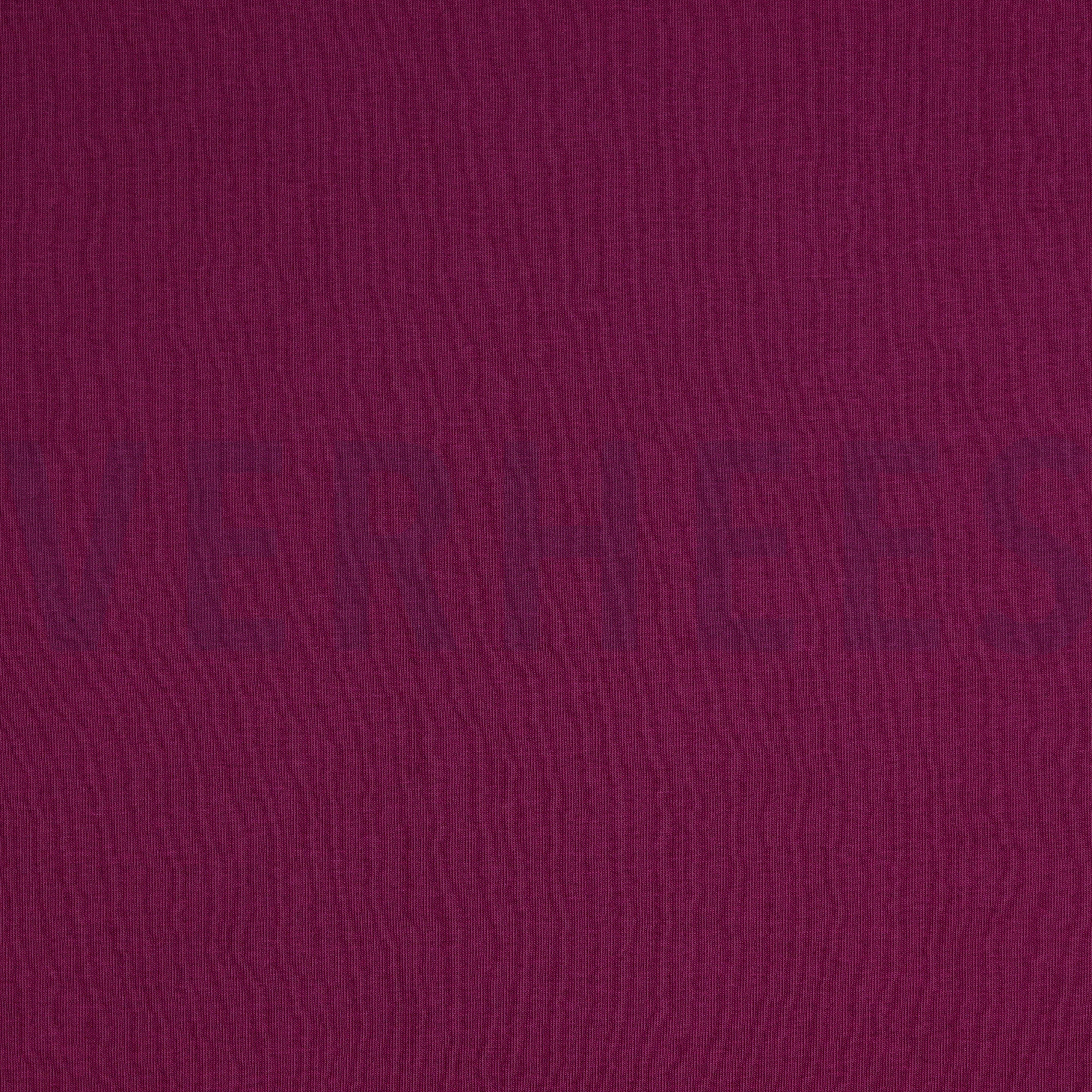 SWEAT VIOLET (high resolution)