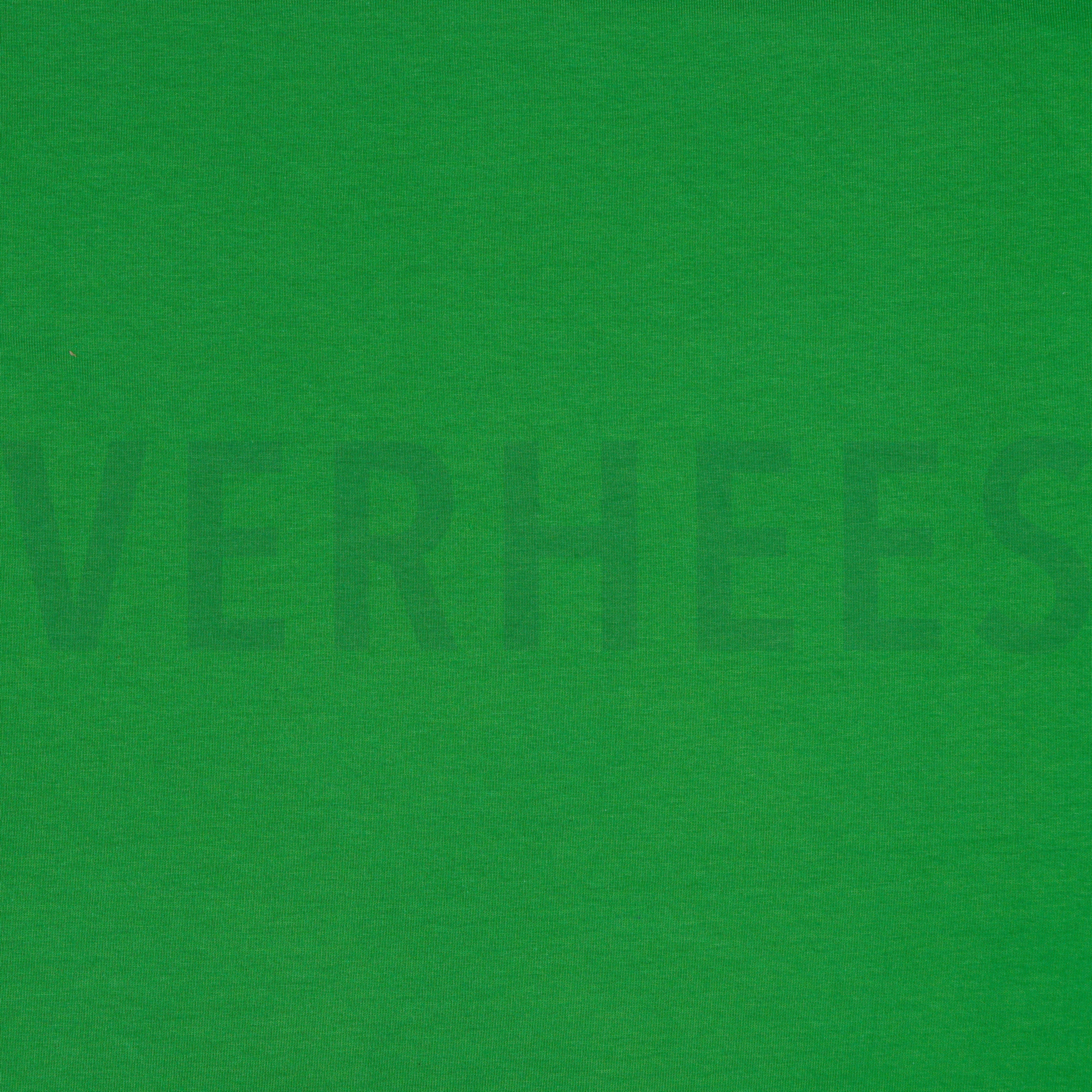 SWEAT GRÜN (high resolution)