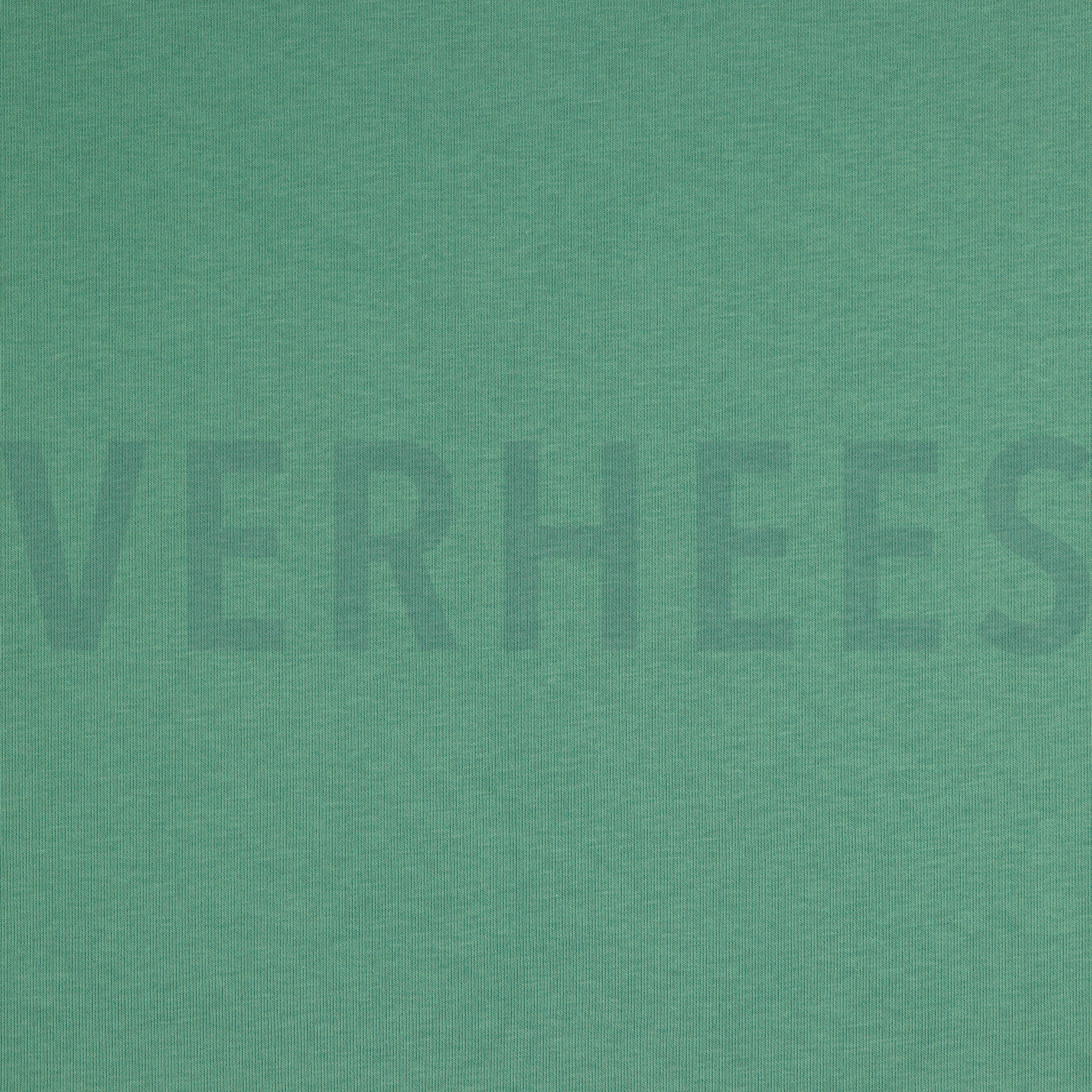 SWEAT DONKER MINT (high resolution)