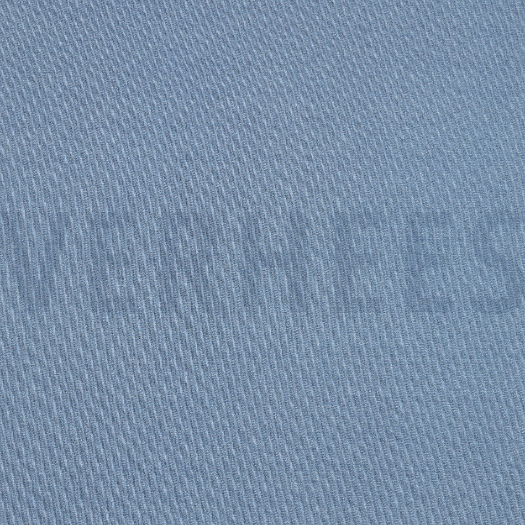 DENIM FRENCH TERRY BLEACHED (high resolution)