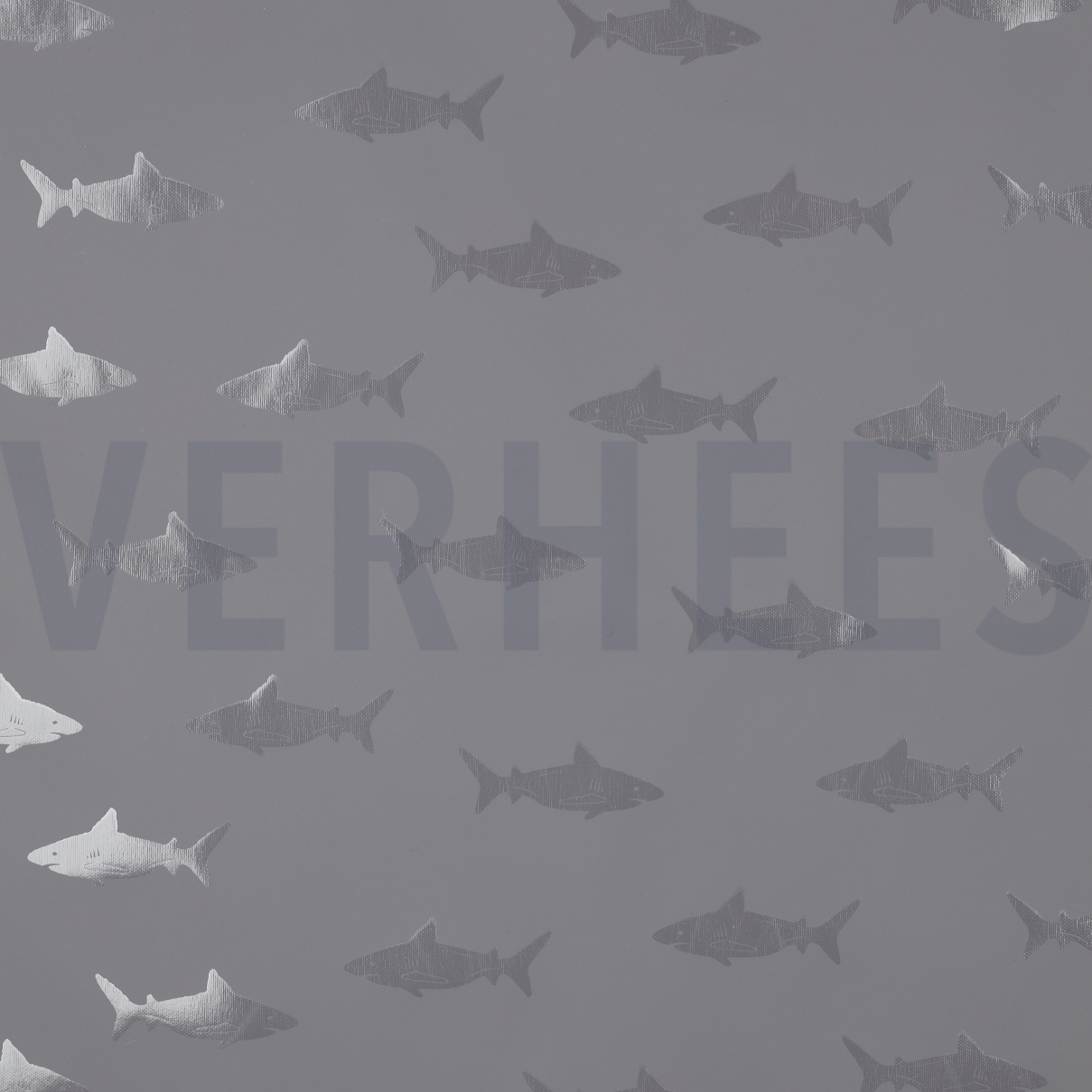 REGENJAS HAAI GRIJS (high resolution)