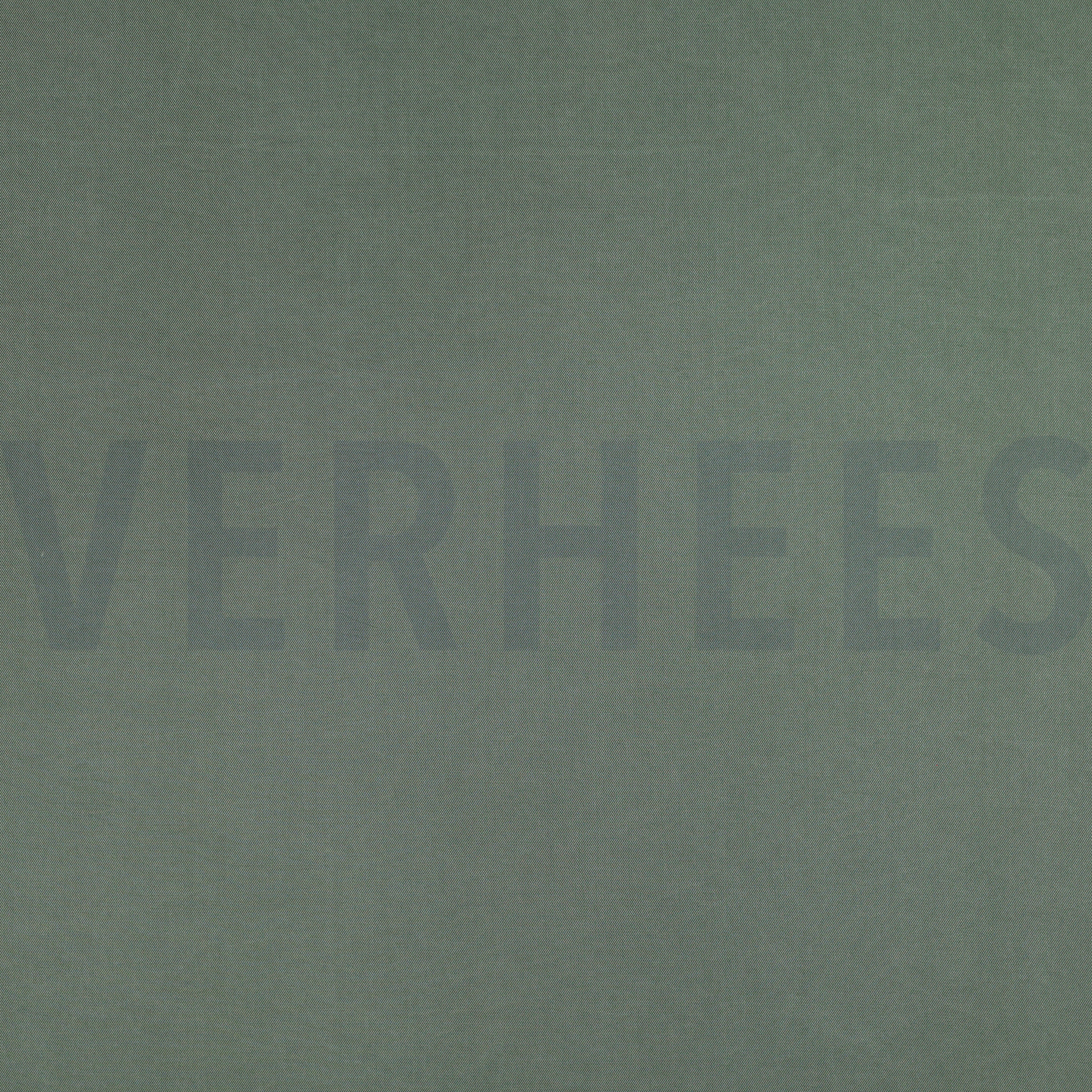 VISKOSE SANDWASH TENCEL™ LYOCELL SALBEI (high resolution)
