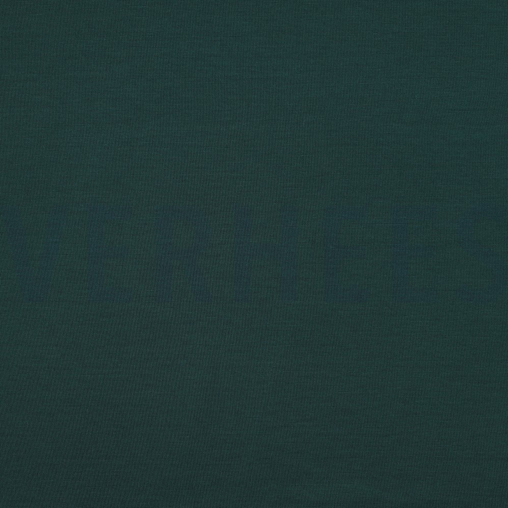 PUNTA DI ROMA JACHTGROEN (high resolution)