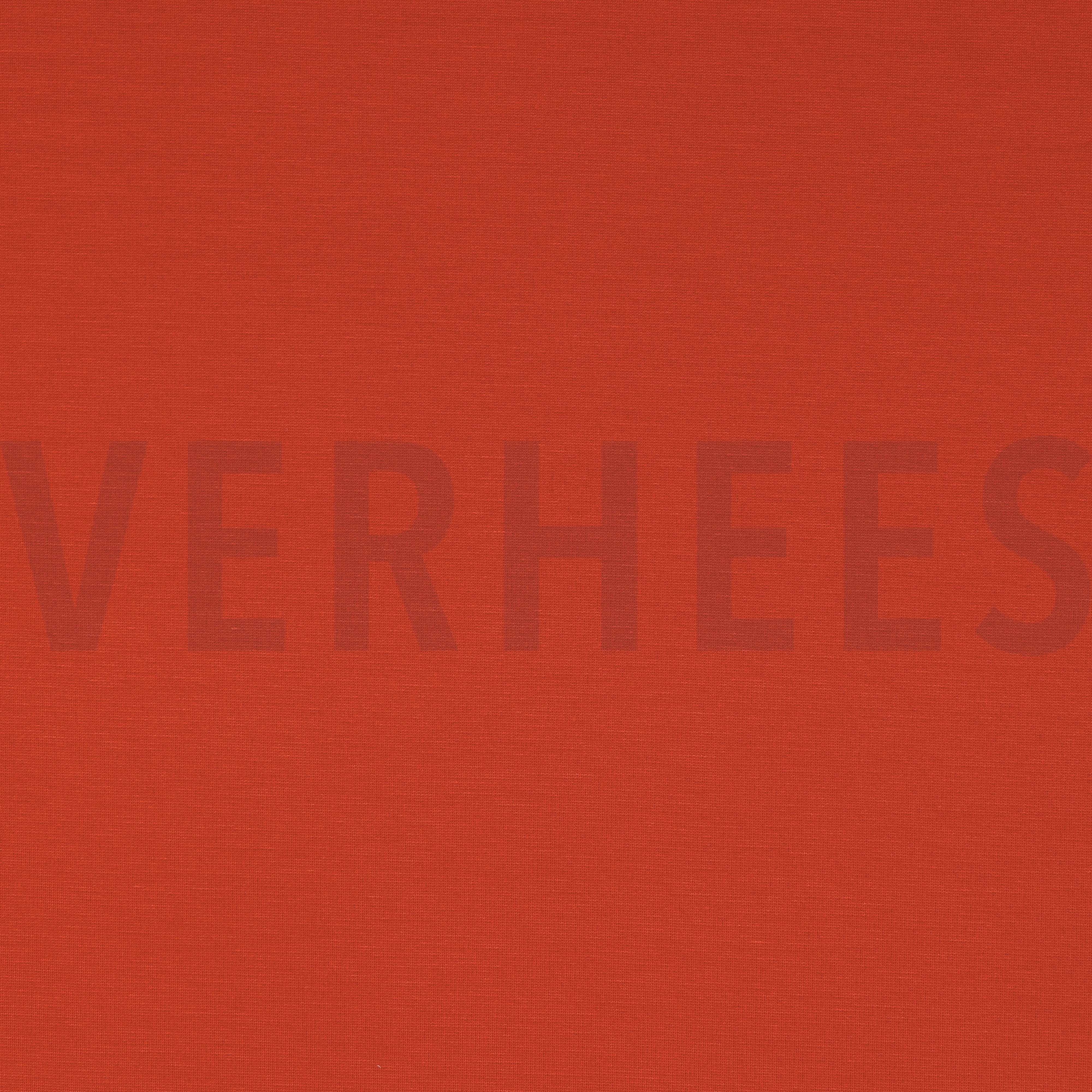 PUNTA DI ROMA ROEST (high resolution)