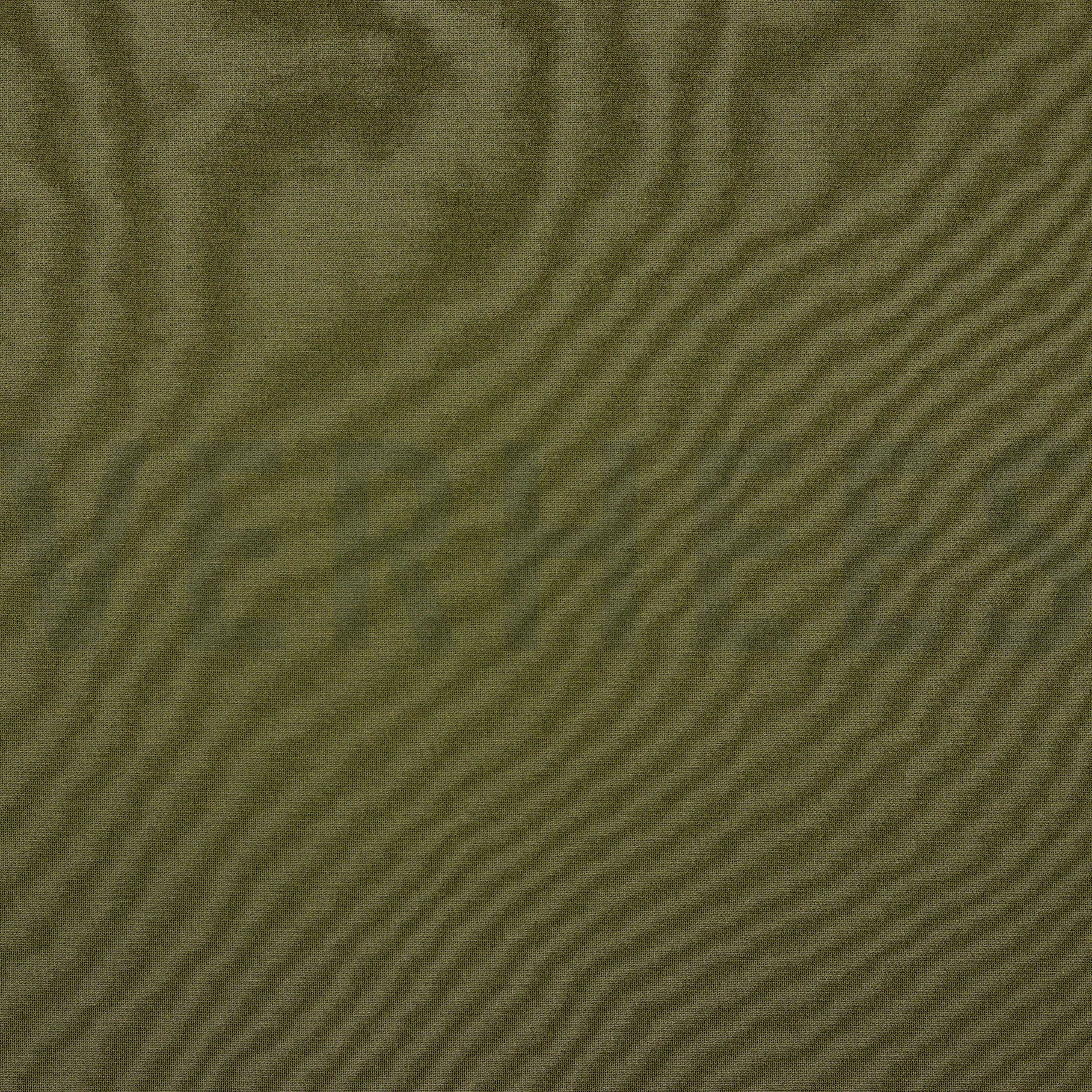 PUNTA DI ROMA OLIJF (high resolution)