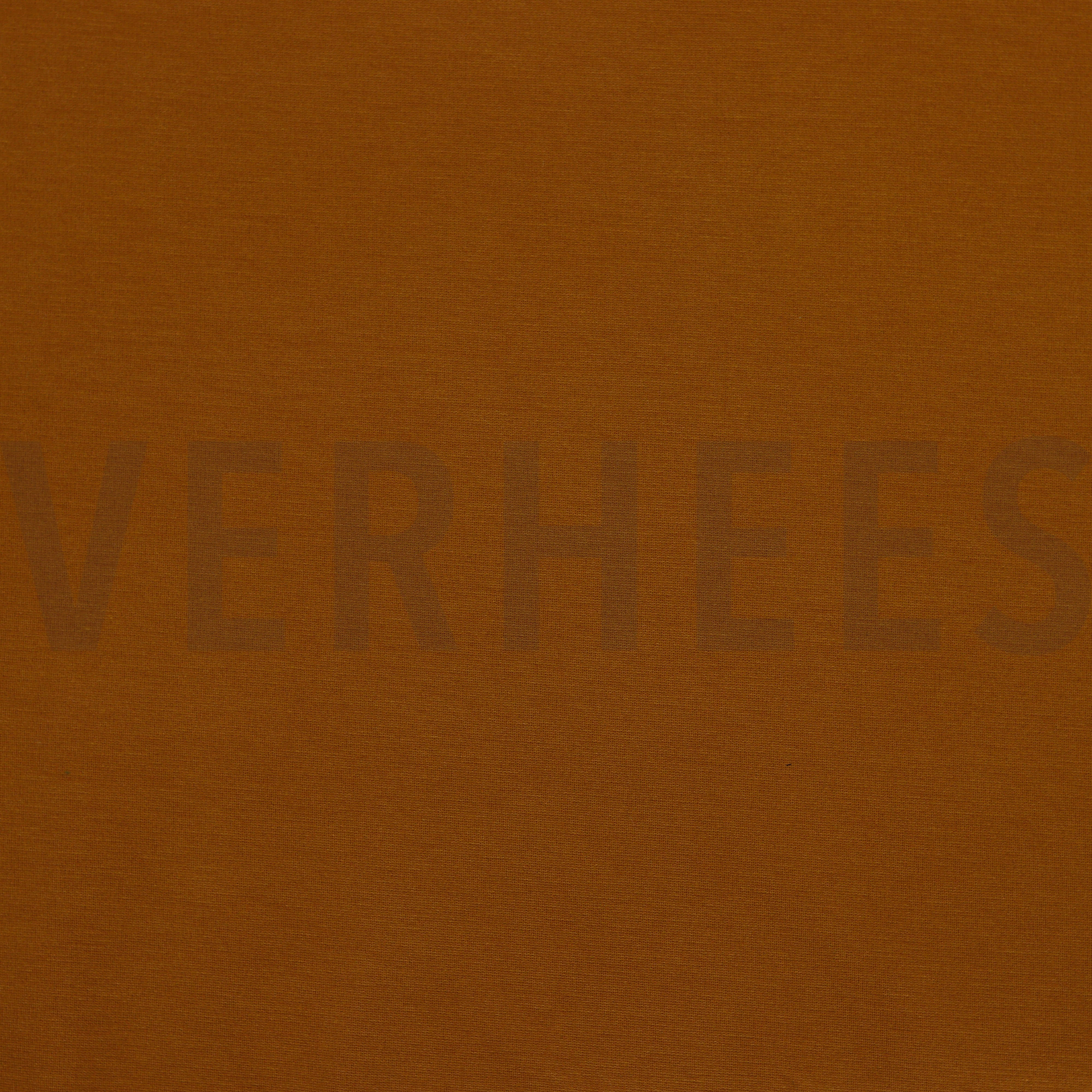 PUNTA DI ROMA HASELNUSS (high resolution)