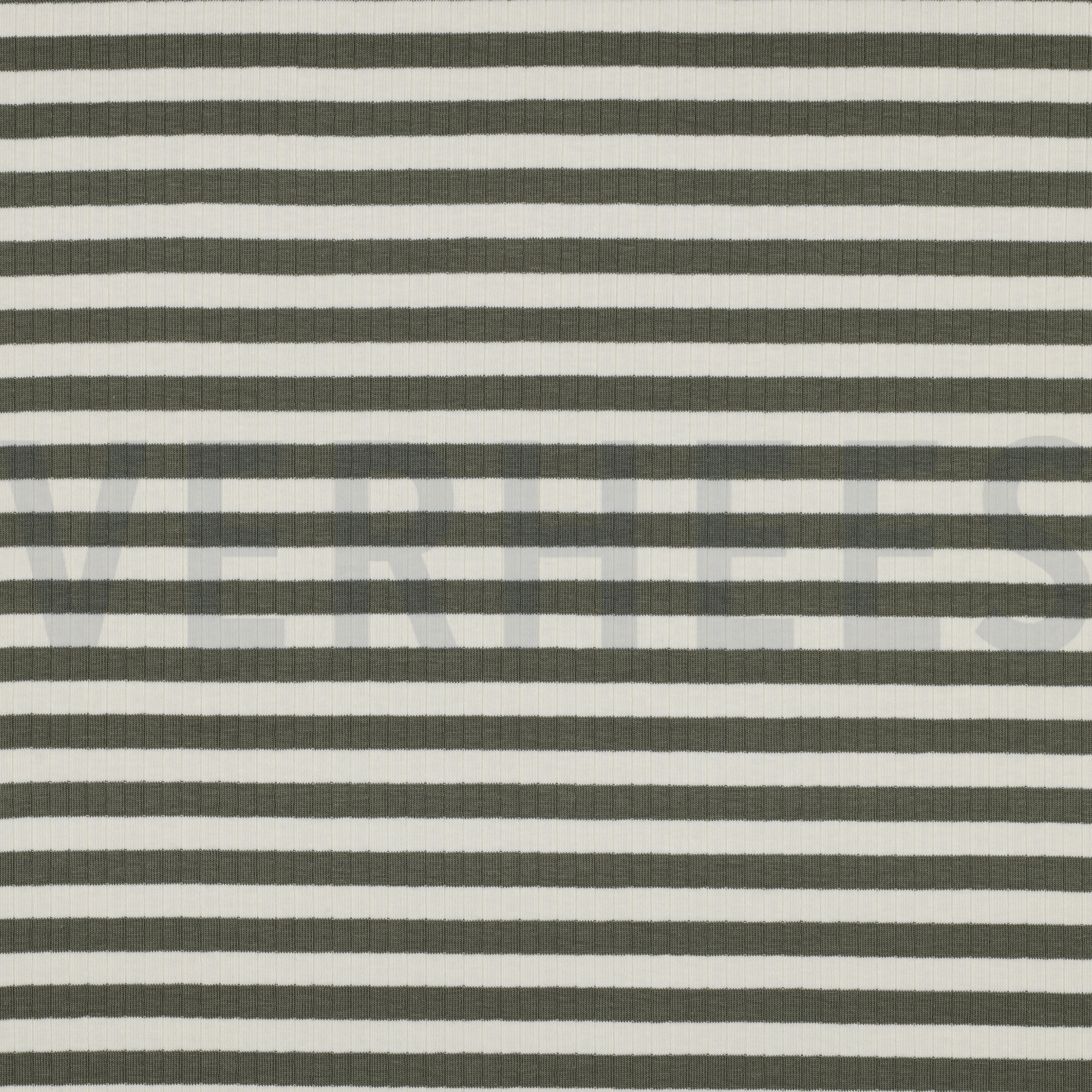 RIB GARENGEVERFD STREPEN AUGURK (high resolution)