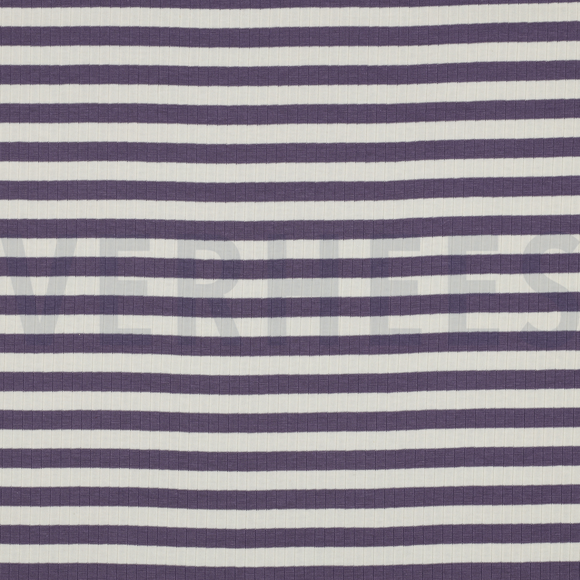 RIB YARN DYED STRIPES GRAPE (high resolution)