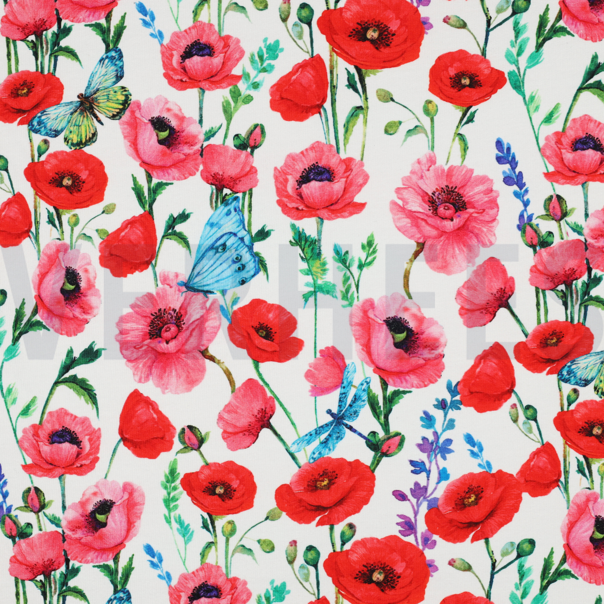 FRENCH TERRY DIGITAL BLUMEN WEISS (high resolution)