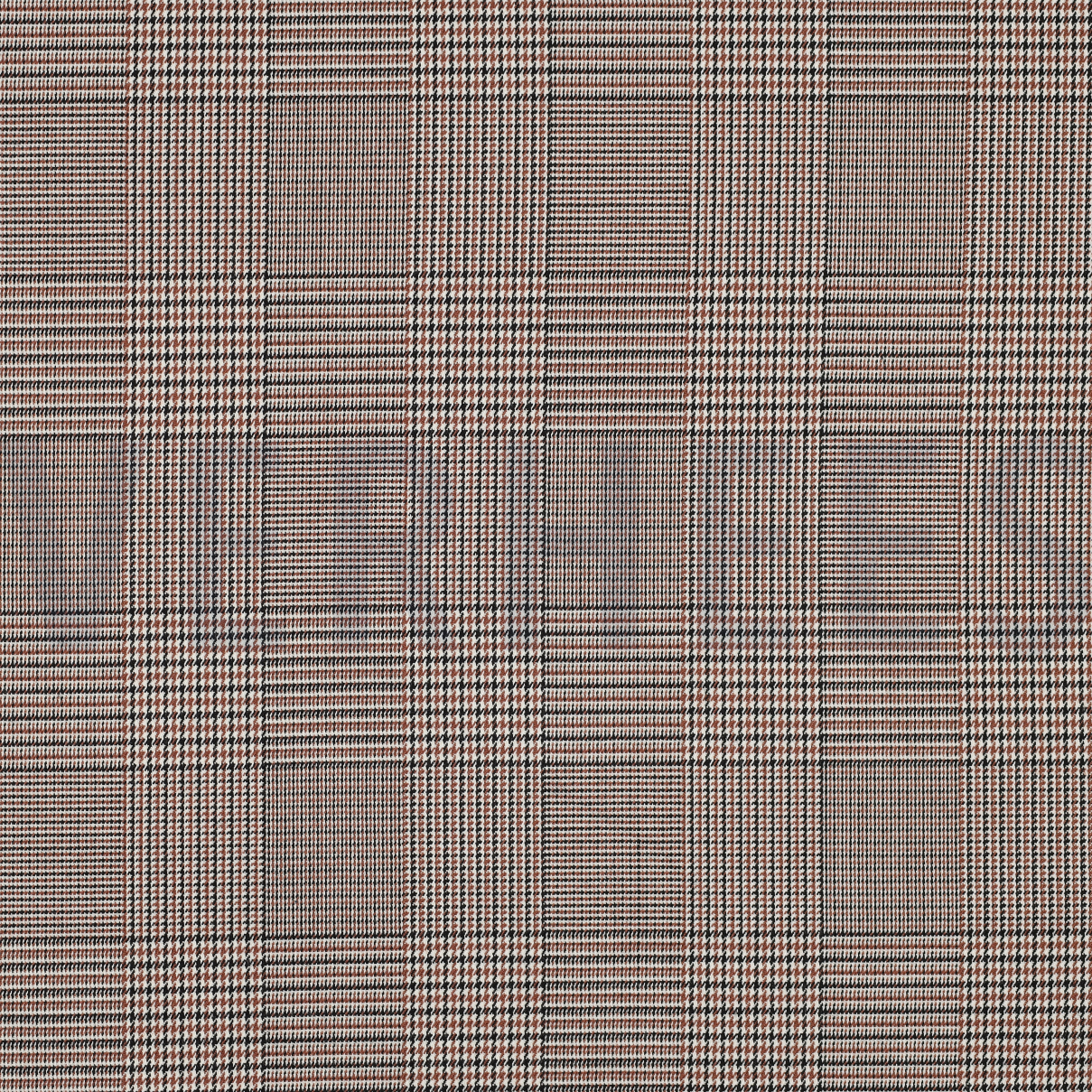 PRINCE DE GALLES BRUN (high resolution)