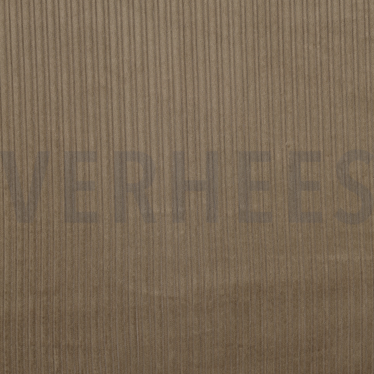 CORDUROY BEIGE (high resolution)