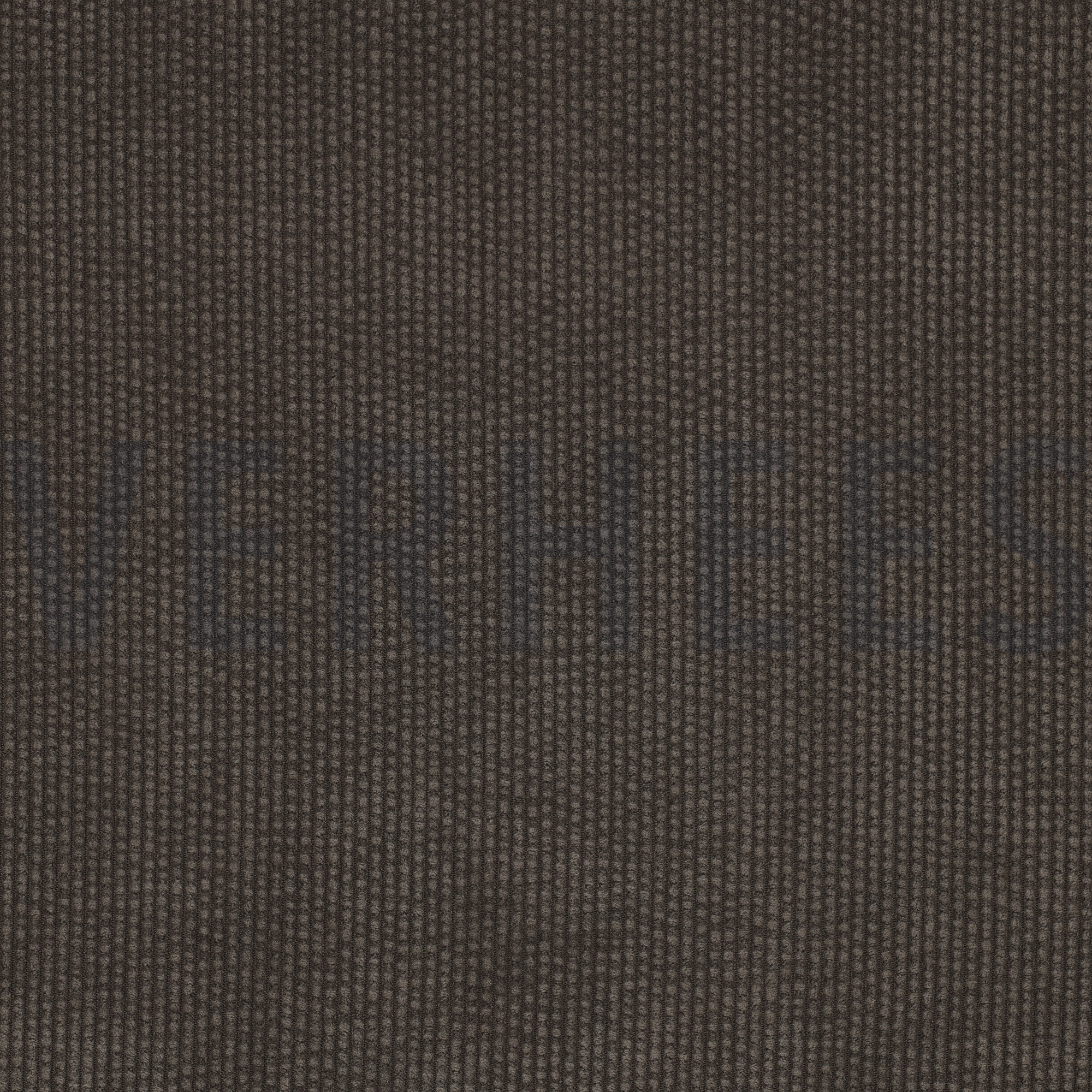 CORD BUBBLE TAUPE (high resolution)