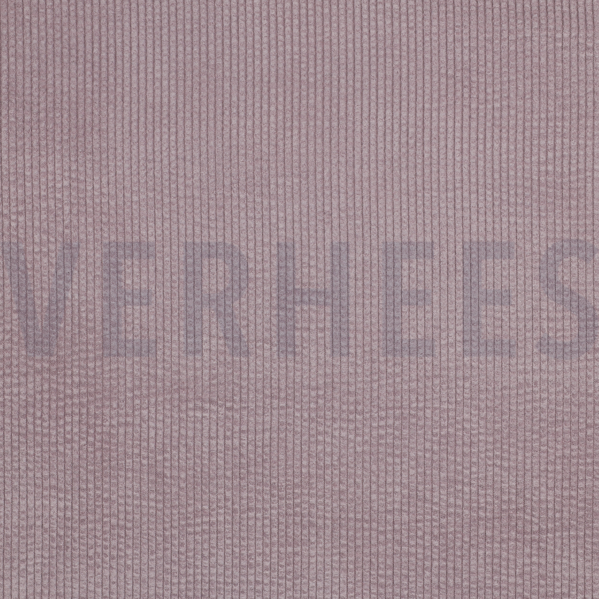 CORD BUBBLE ALT LILA (high resolution)