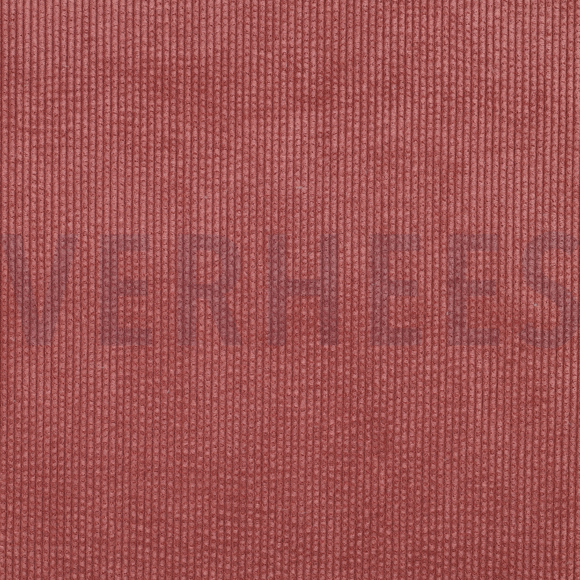 FAUX FUR CORDUROY BLUSH (high resolution)