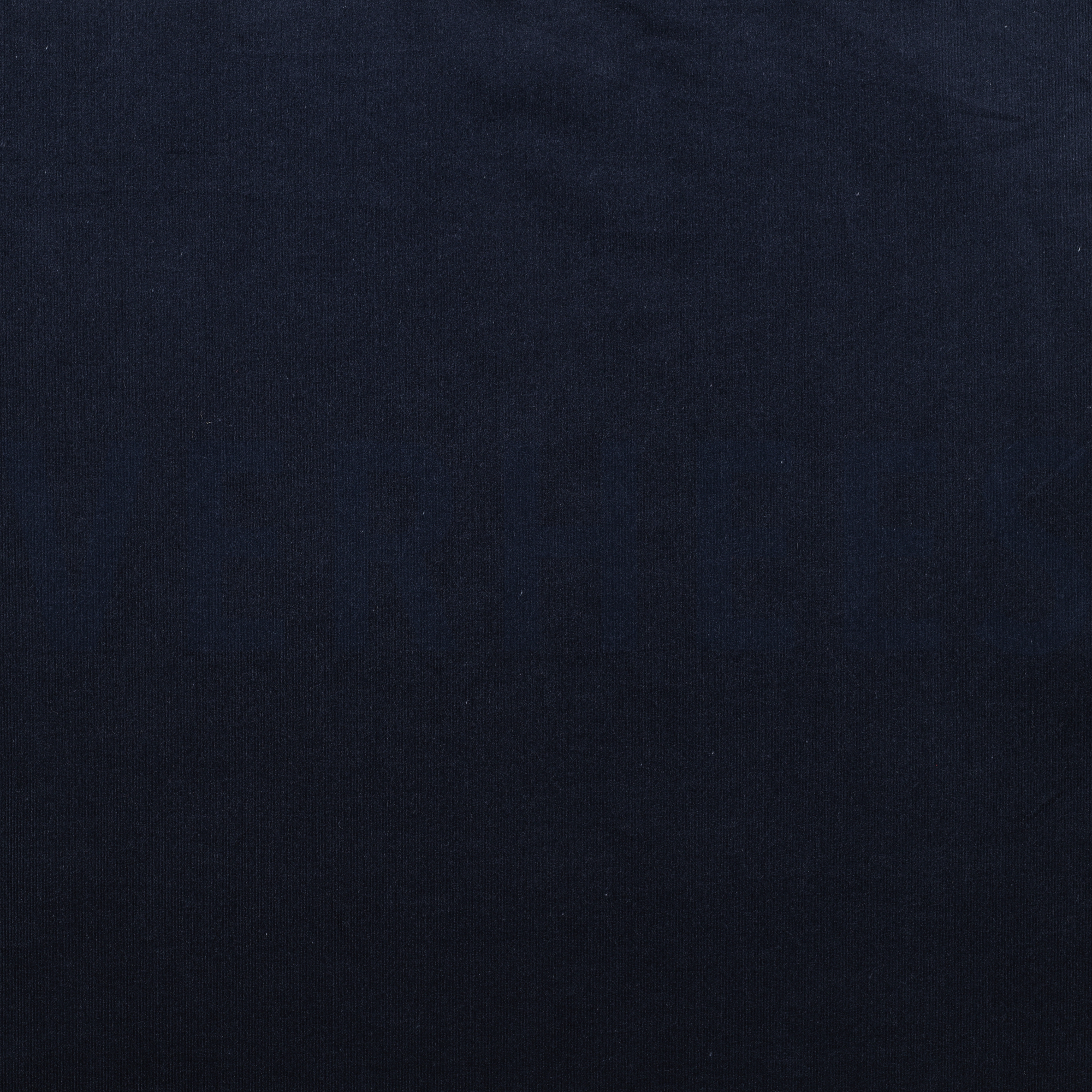 VELOURS MILLERAIES STRETCH 28W BLEU MARINE (high resolution)