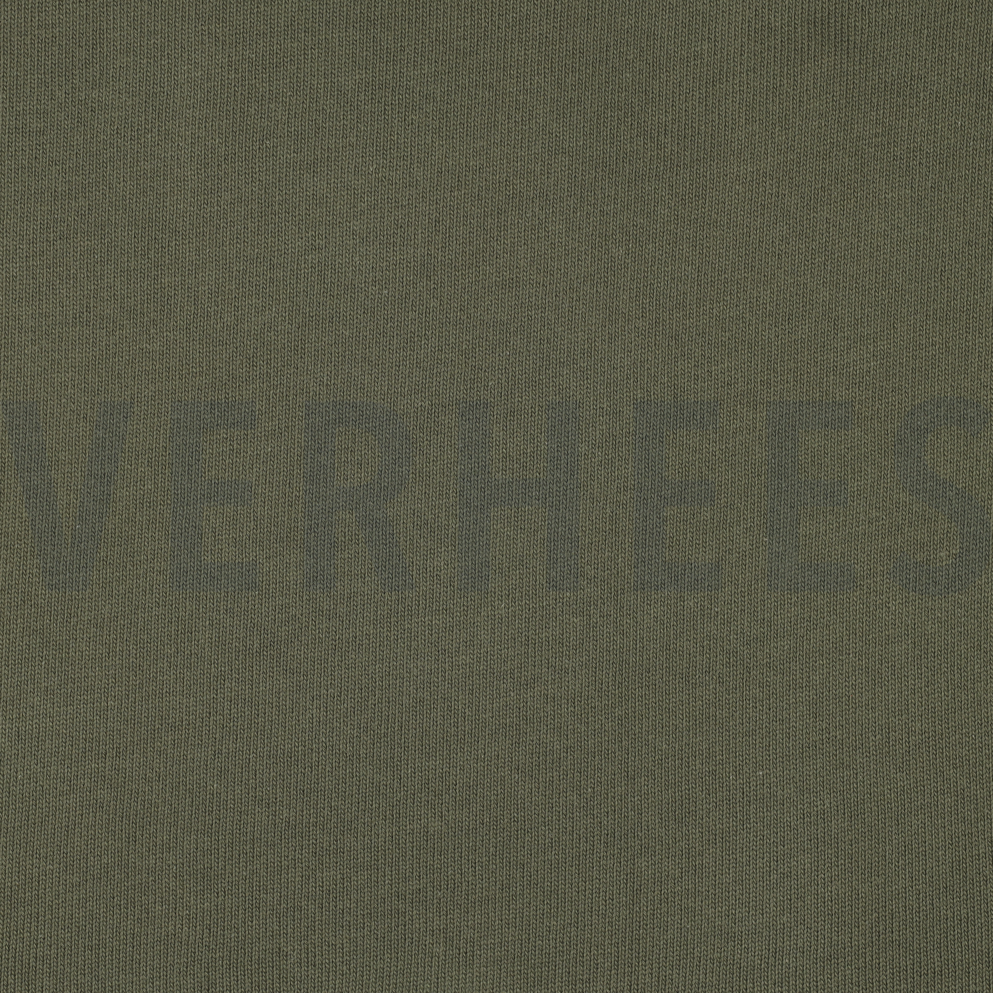 BAUMWOLLE GESTRICKT ESSIGGURKE (high resolution)