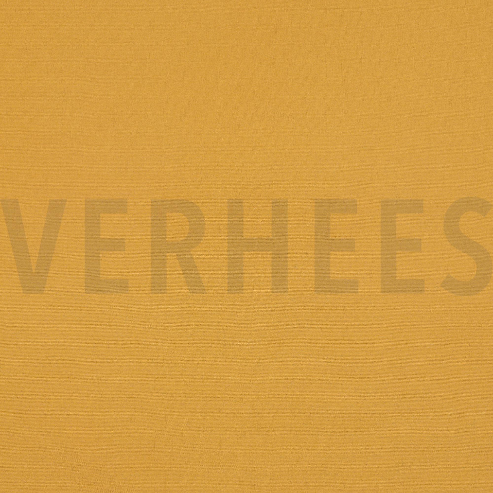 SOFTSHELL 3-COUCHES OCRE (high resolution)