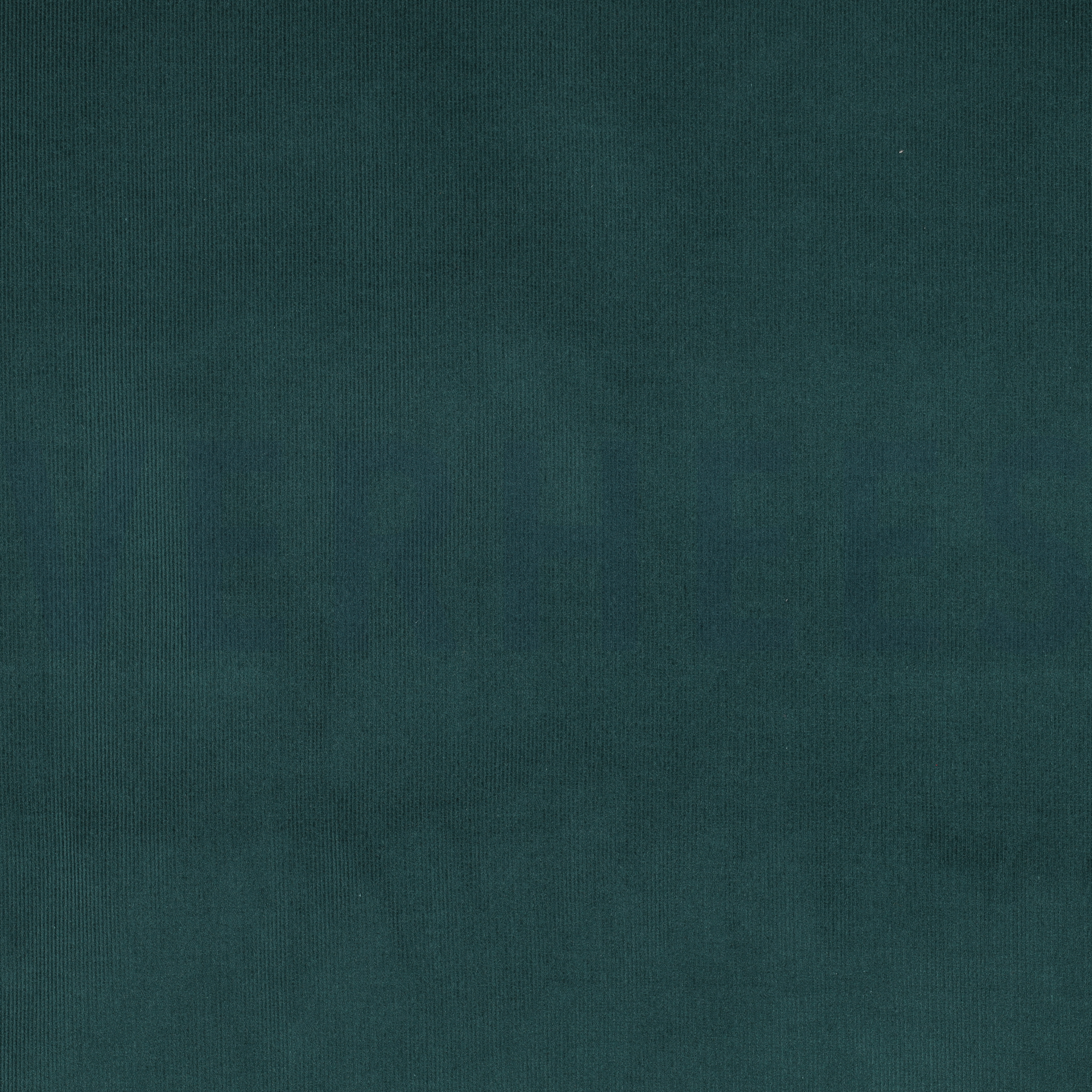 CORDUROY BABYRIB 21W DENNEGROEN (high resolution)