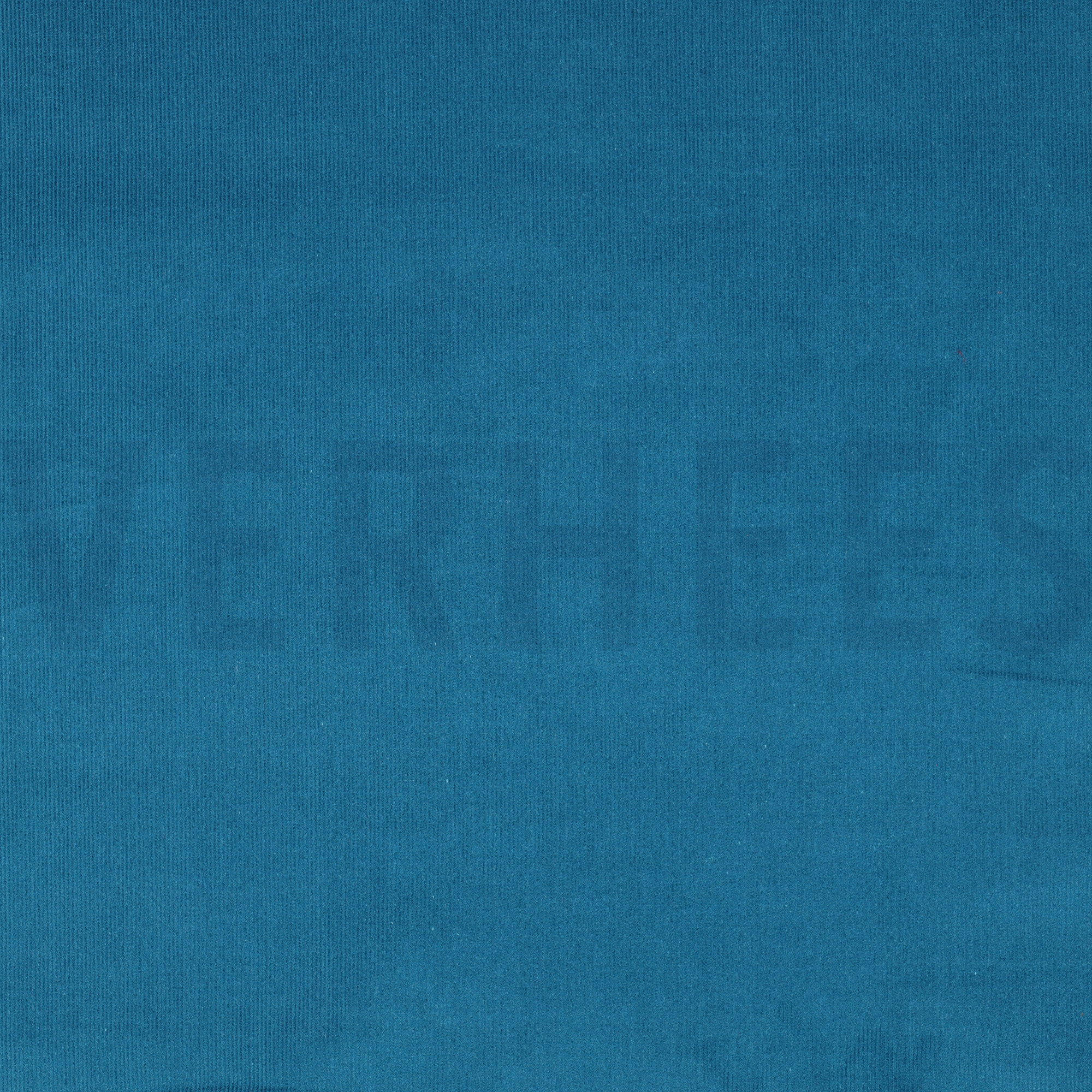 FEINCORD 21W PETROL (high resolution)