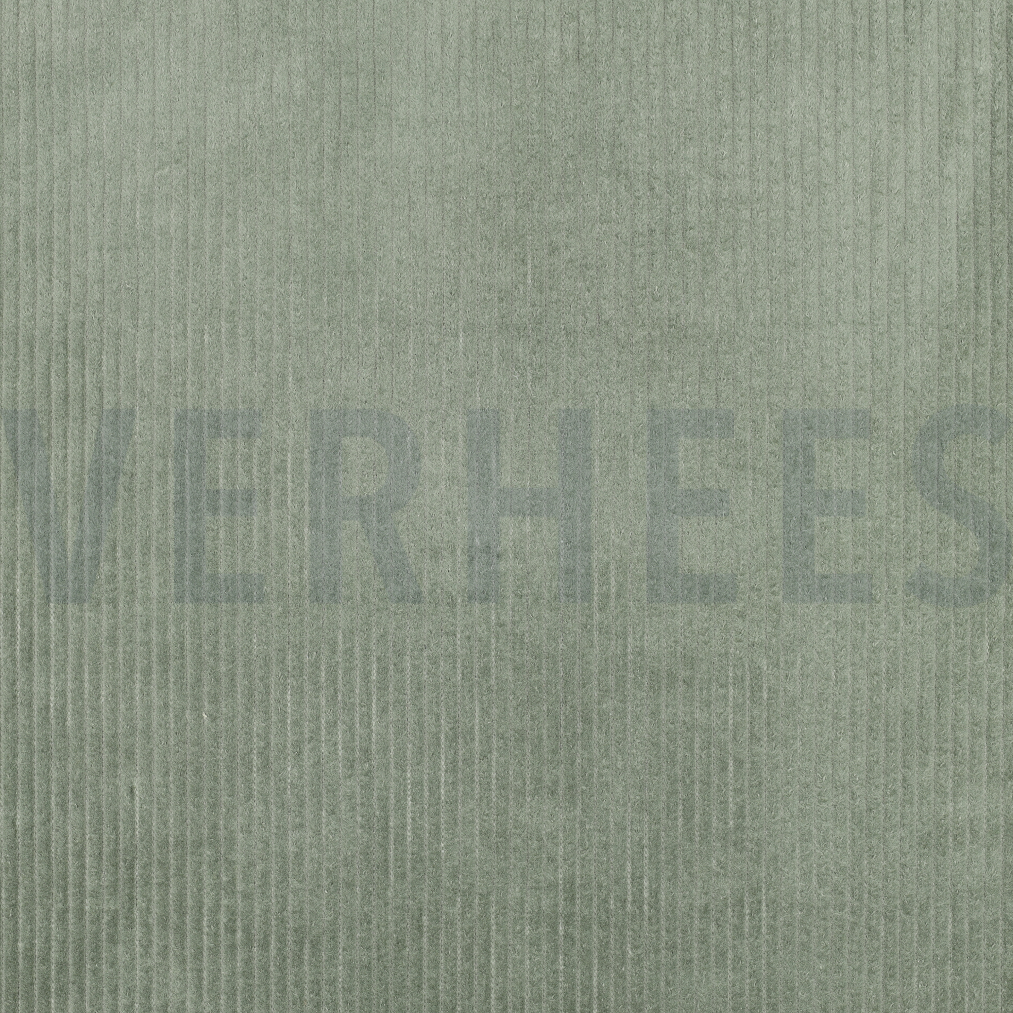 GEWASCHEN CORD 4.5W SALBEI (high resolution)