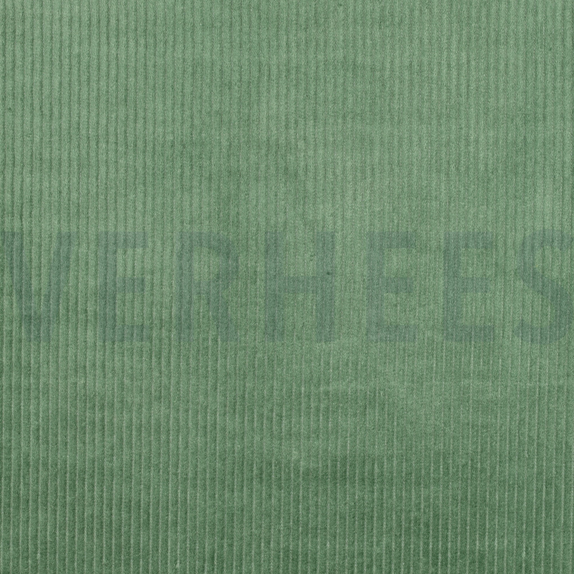 WASHED CORDUROY 4.5W BASIL (high resolution)
