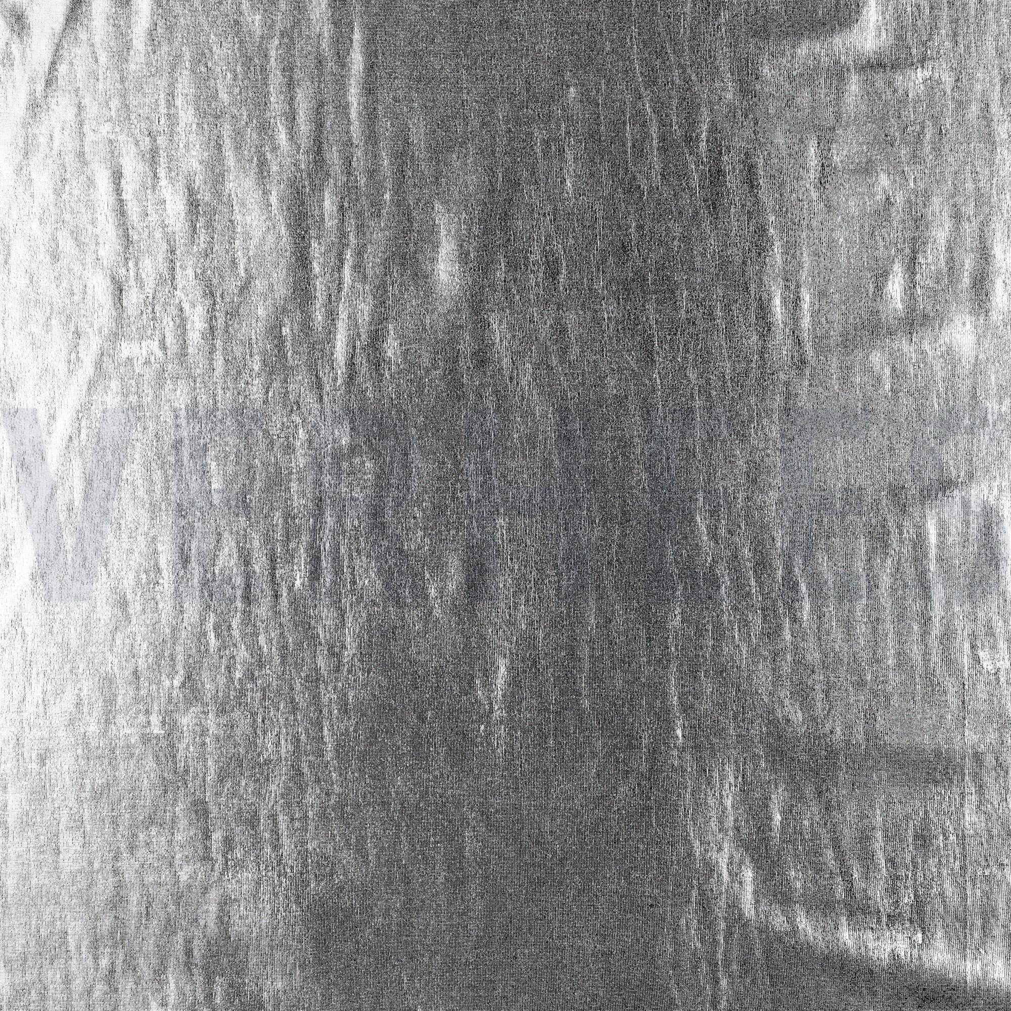 FÊTE ARGENT (high resolution)