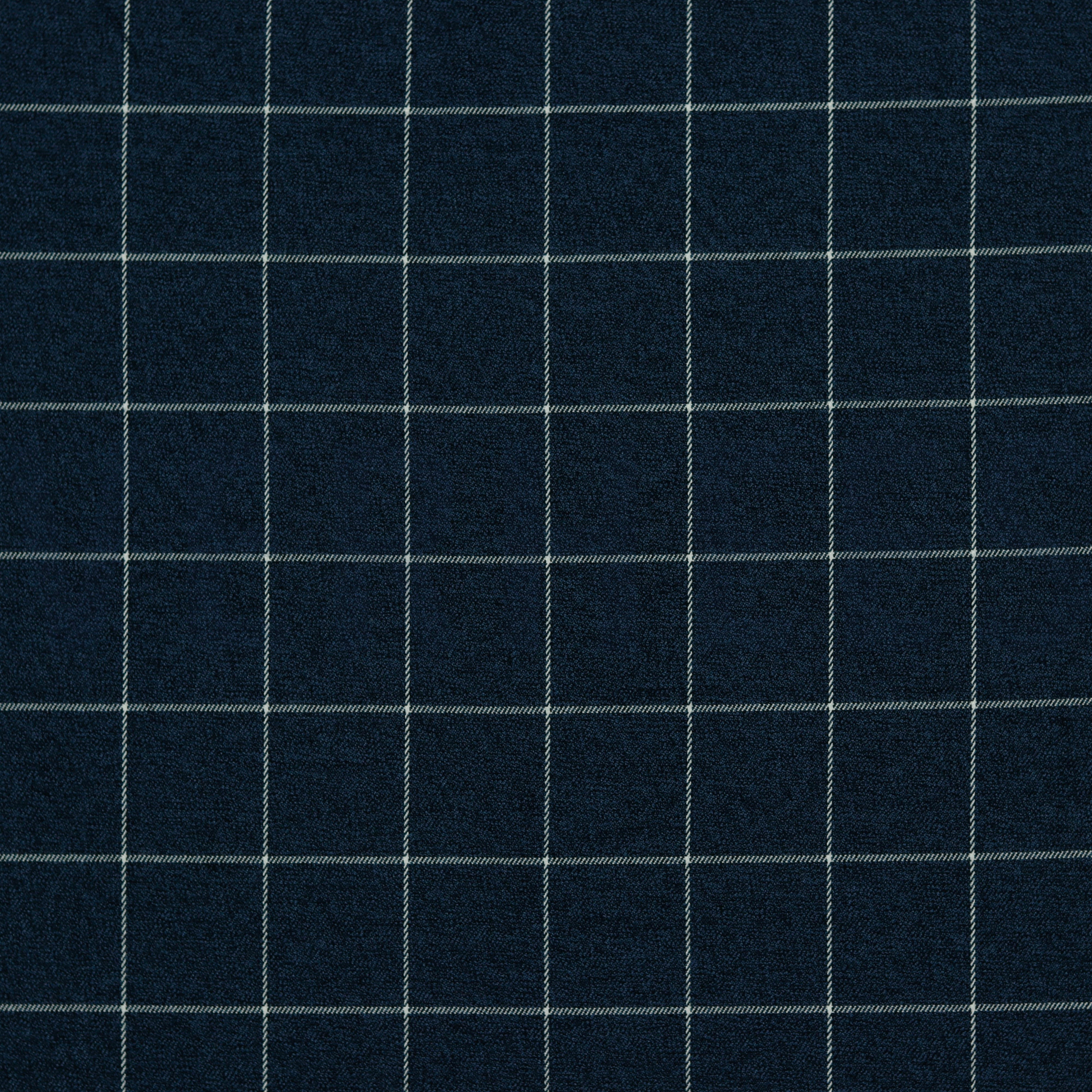 CHECKS INDIGO (high resolution)