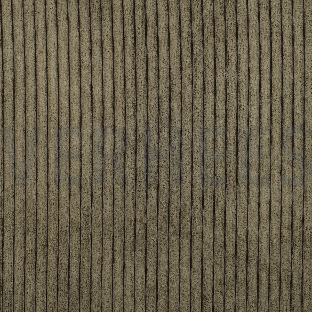 VELOURS DÉCO CORD OLIVE (high resolution)