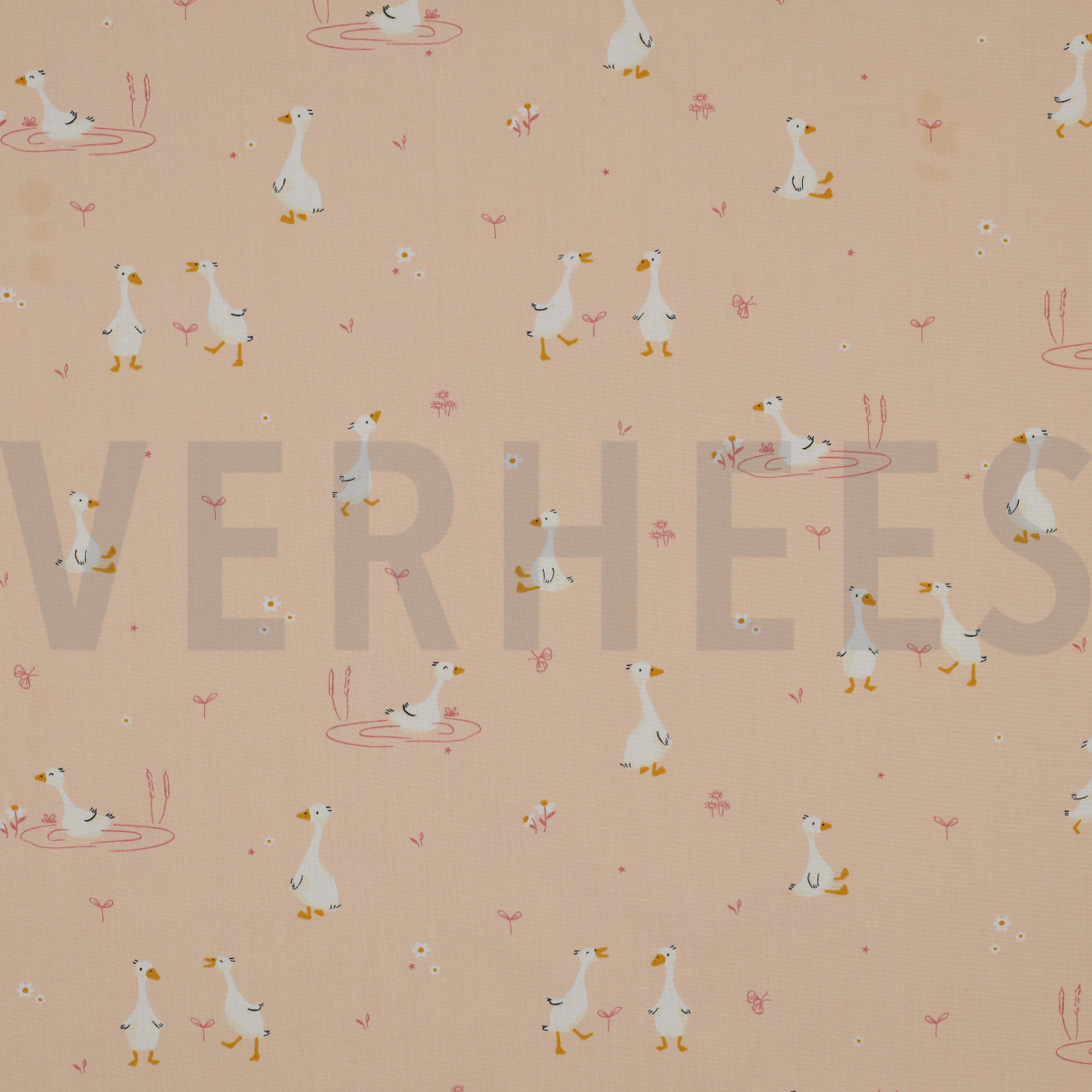 FINE POPLIN GOOSE POWDER (high resolution)