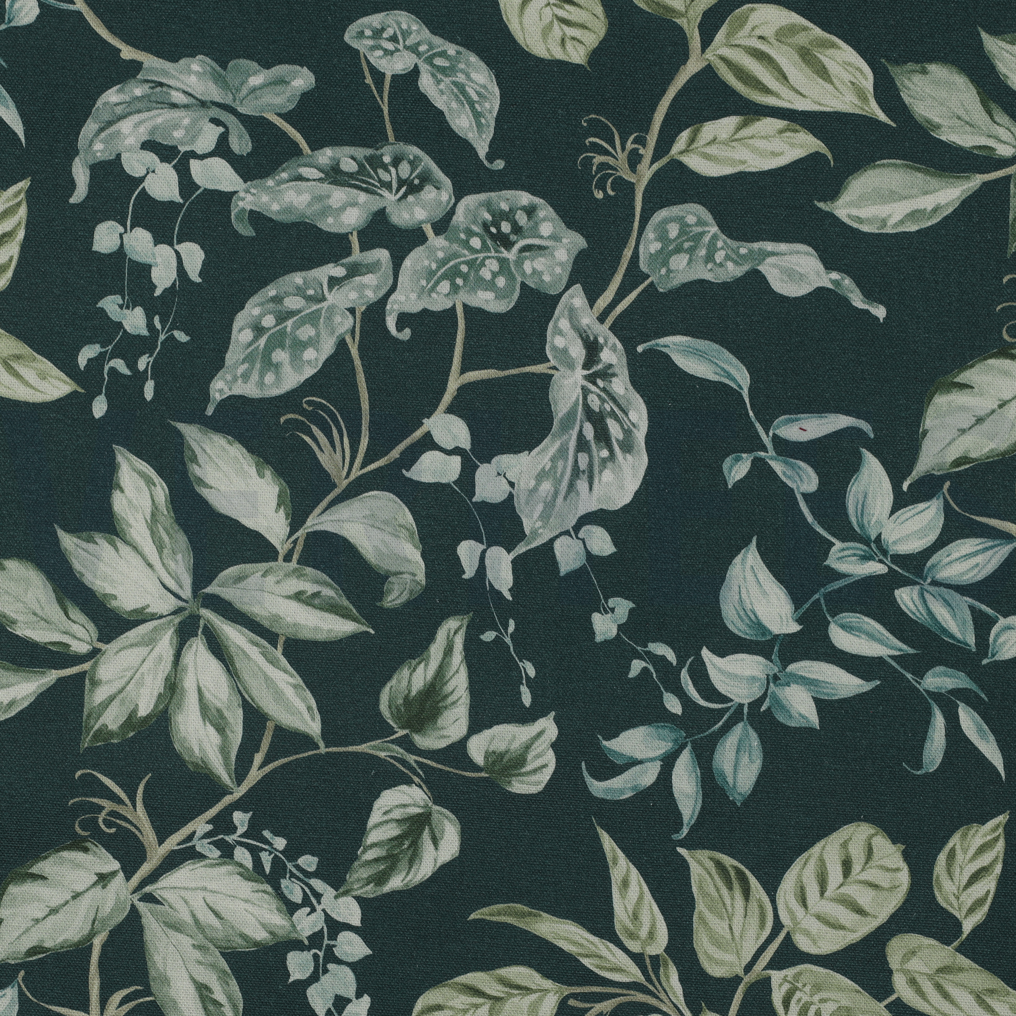 CANVAS DIGITAAL BLADEREN DONKERGROEN (high resolution)