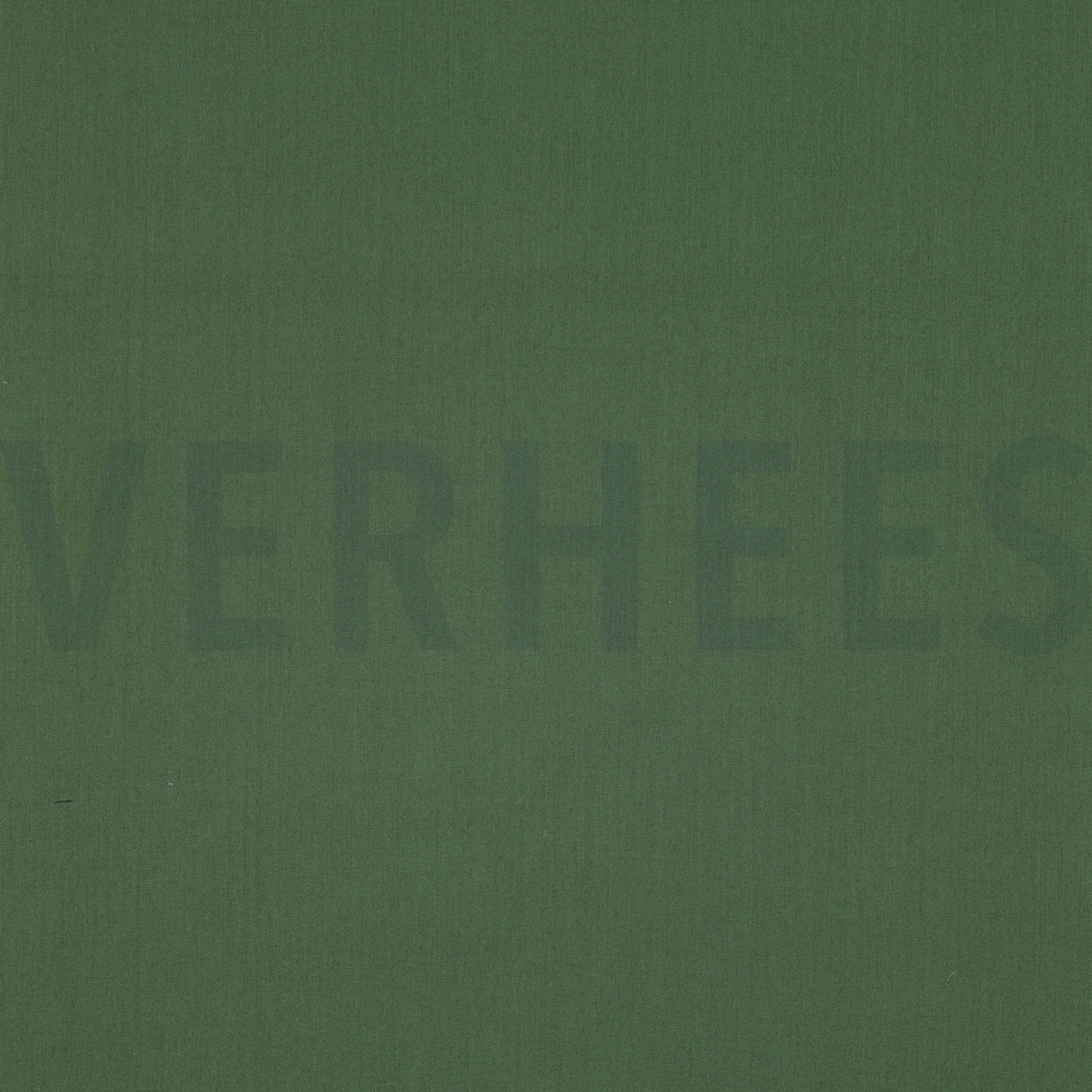 CANDY COTTON GOTS FOREST (high resolution)