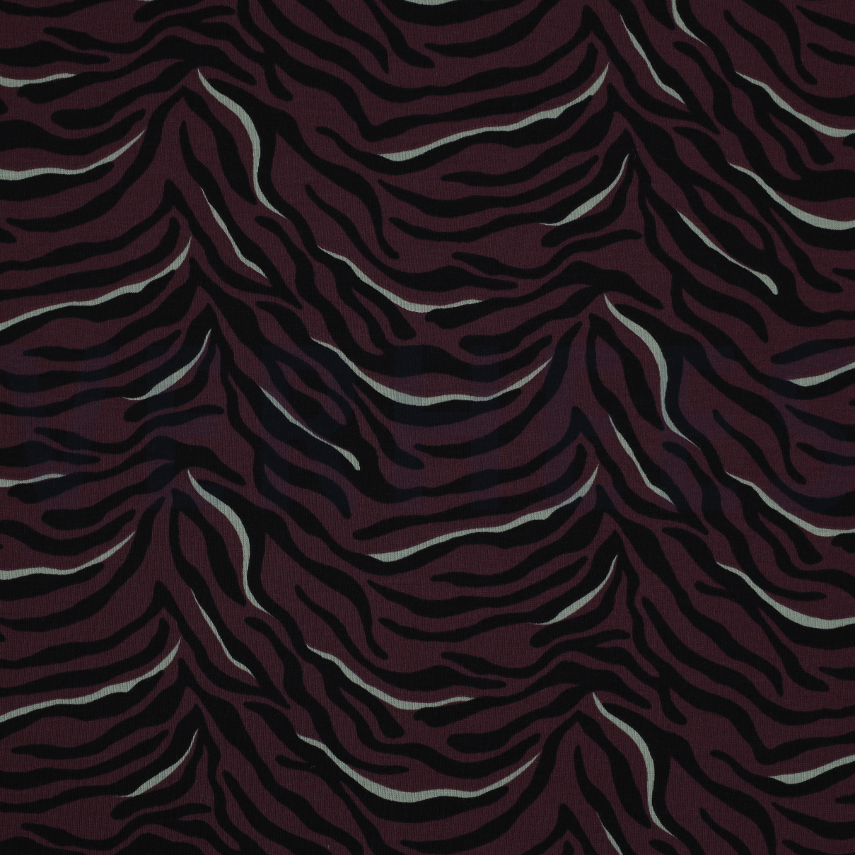 JERSEY ZEBRA MOERBEI (high resolution)