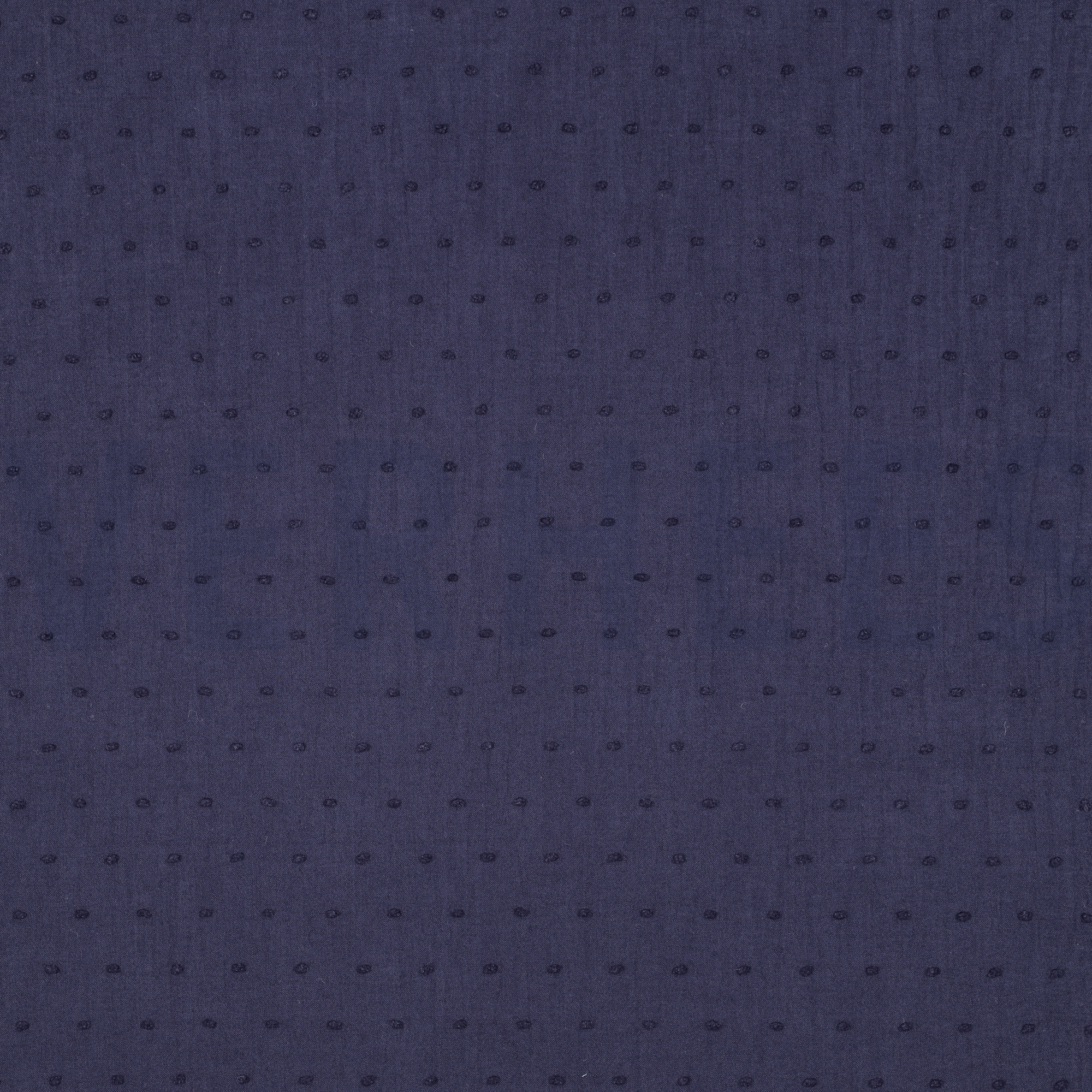 DOTTY MARINEBLAU (high resolution)