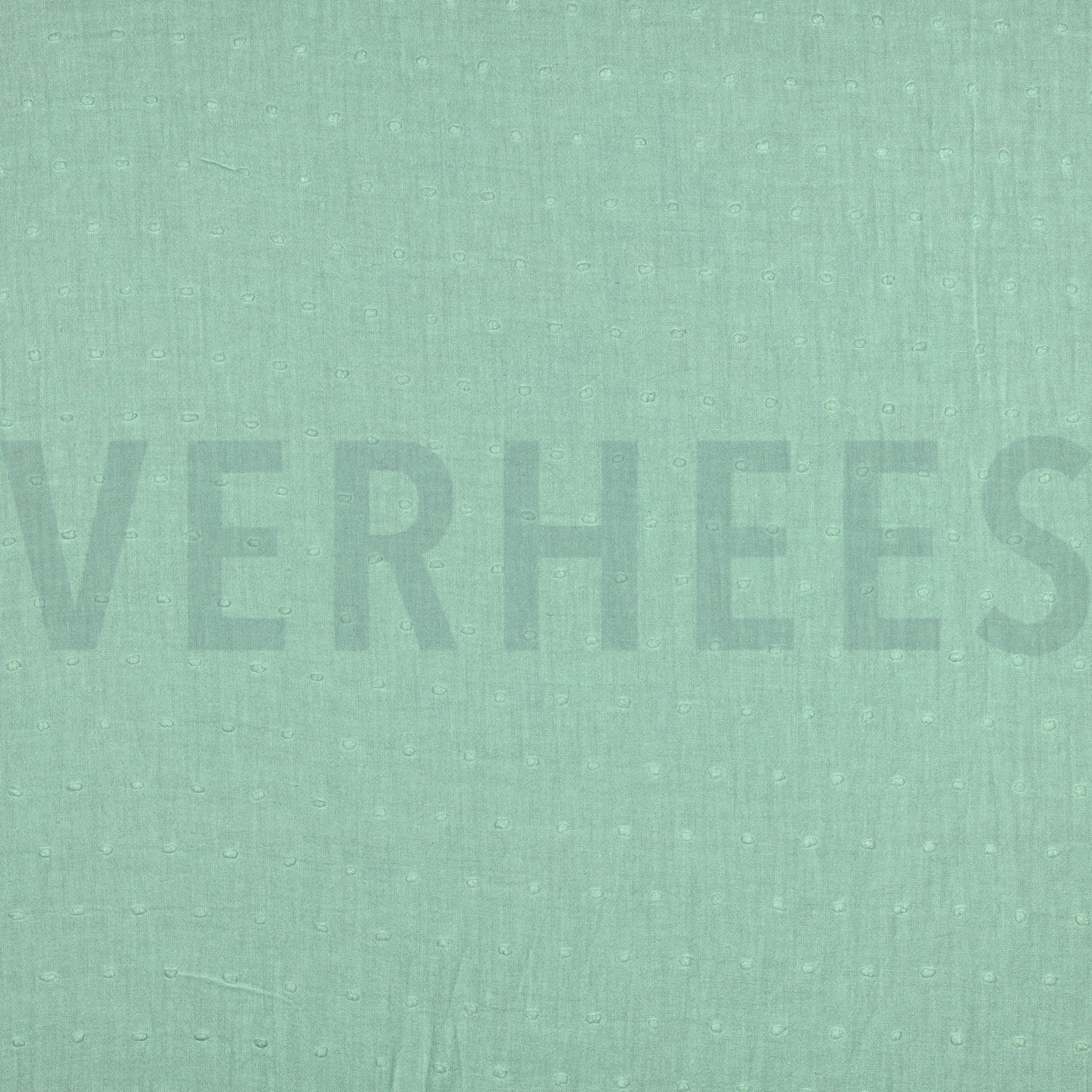 DOTTY MINZE (high resolution)